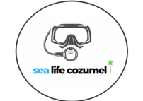Scuba Cozumel  | Scuba diving in Cozumel Mexico