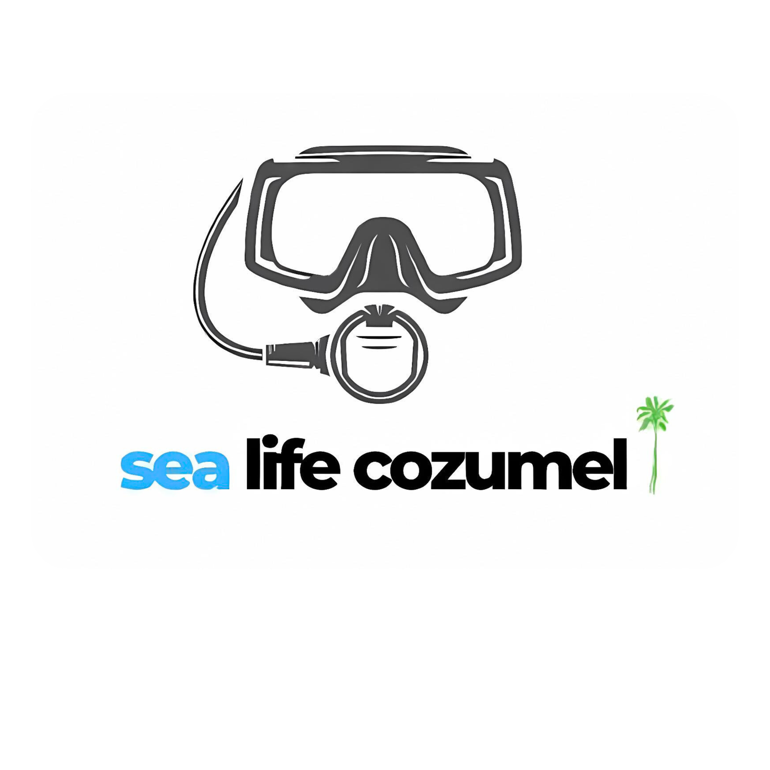Sea Life Cozumel 