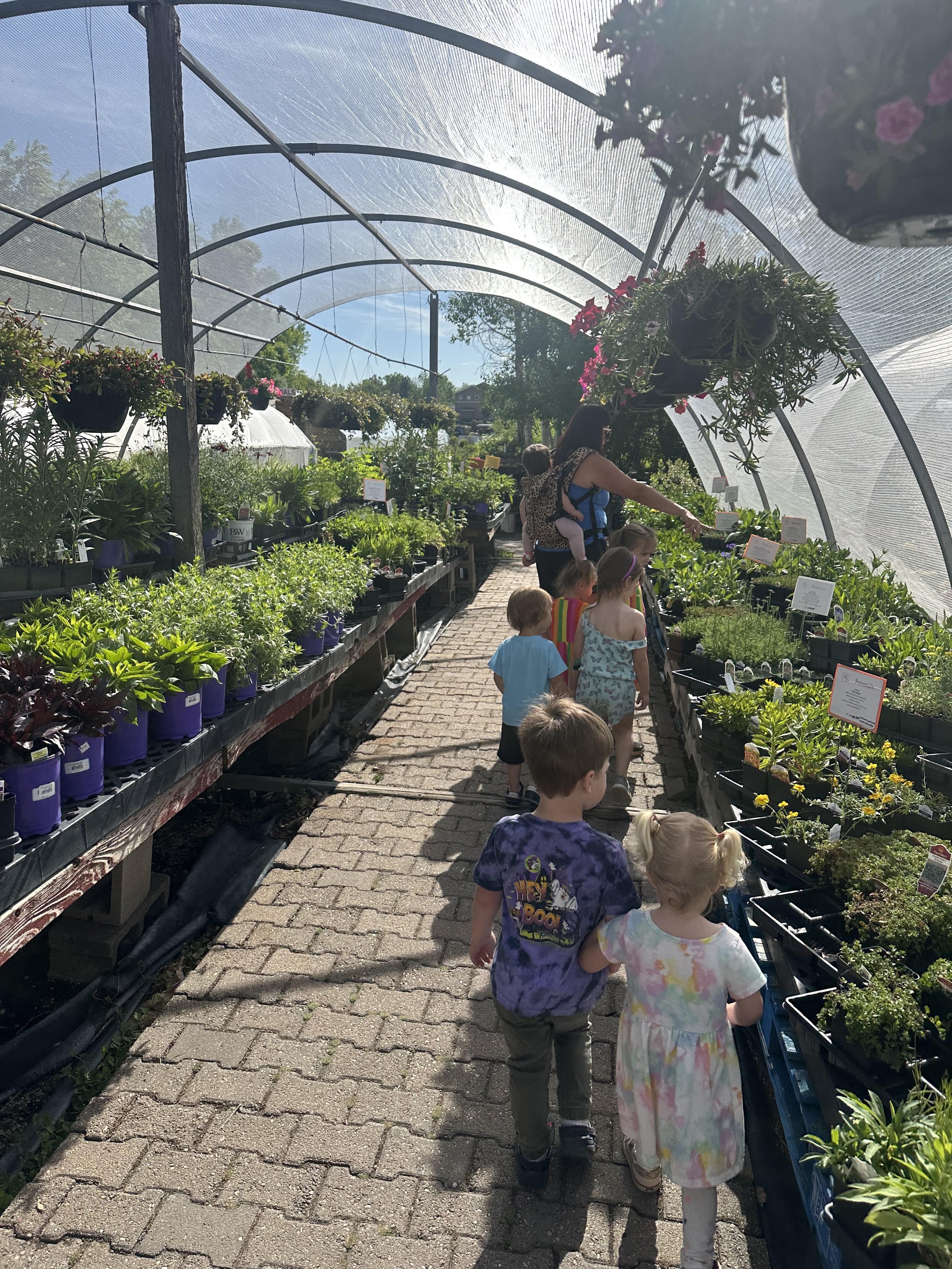 garden adv.jpg