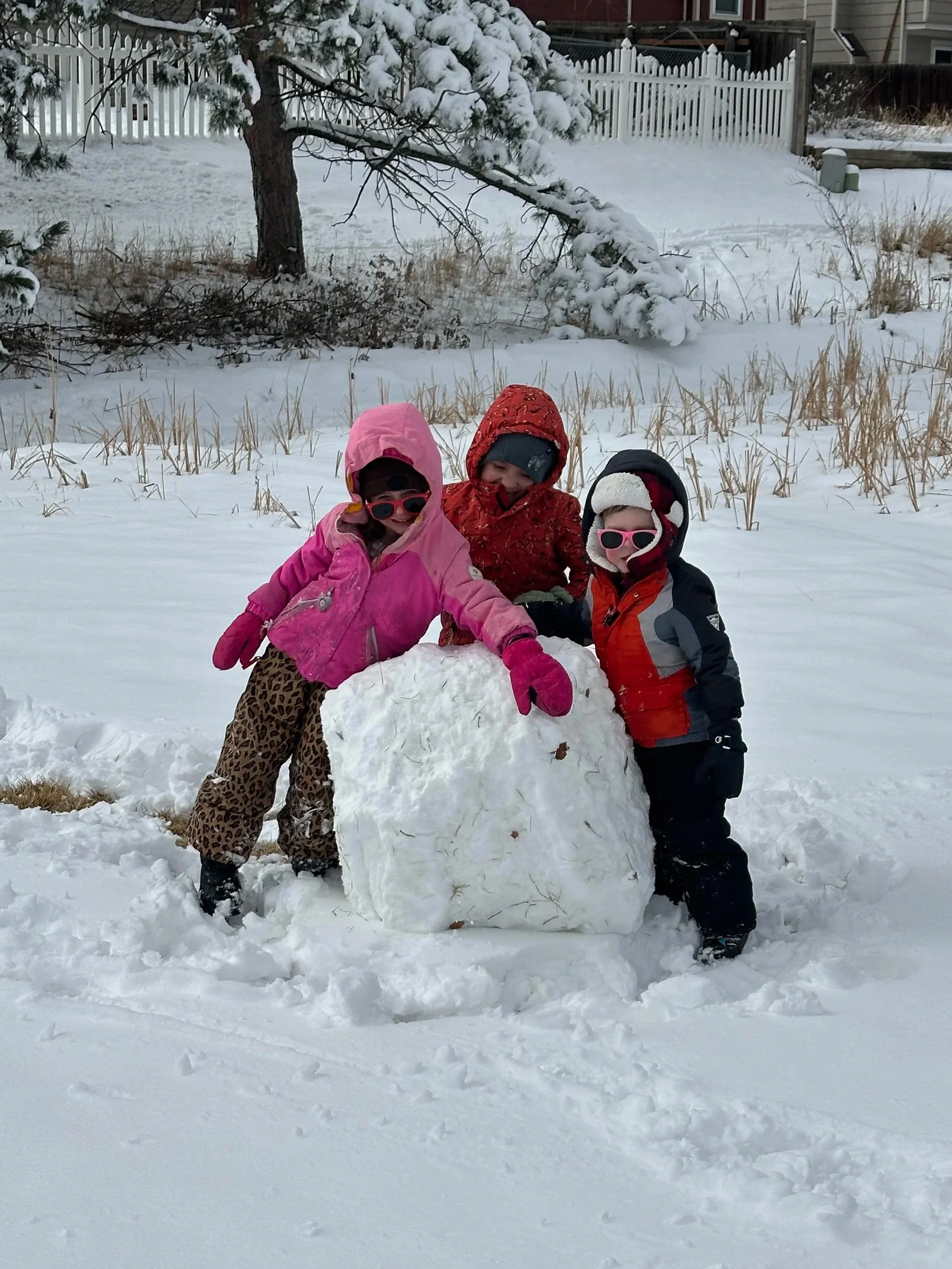 snow+friends.jpg