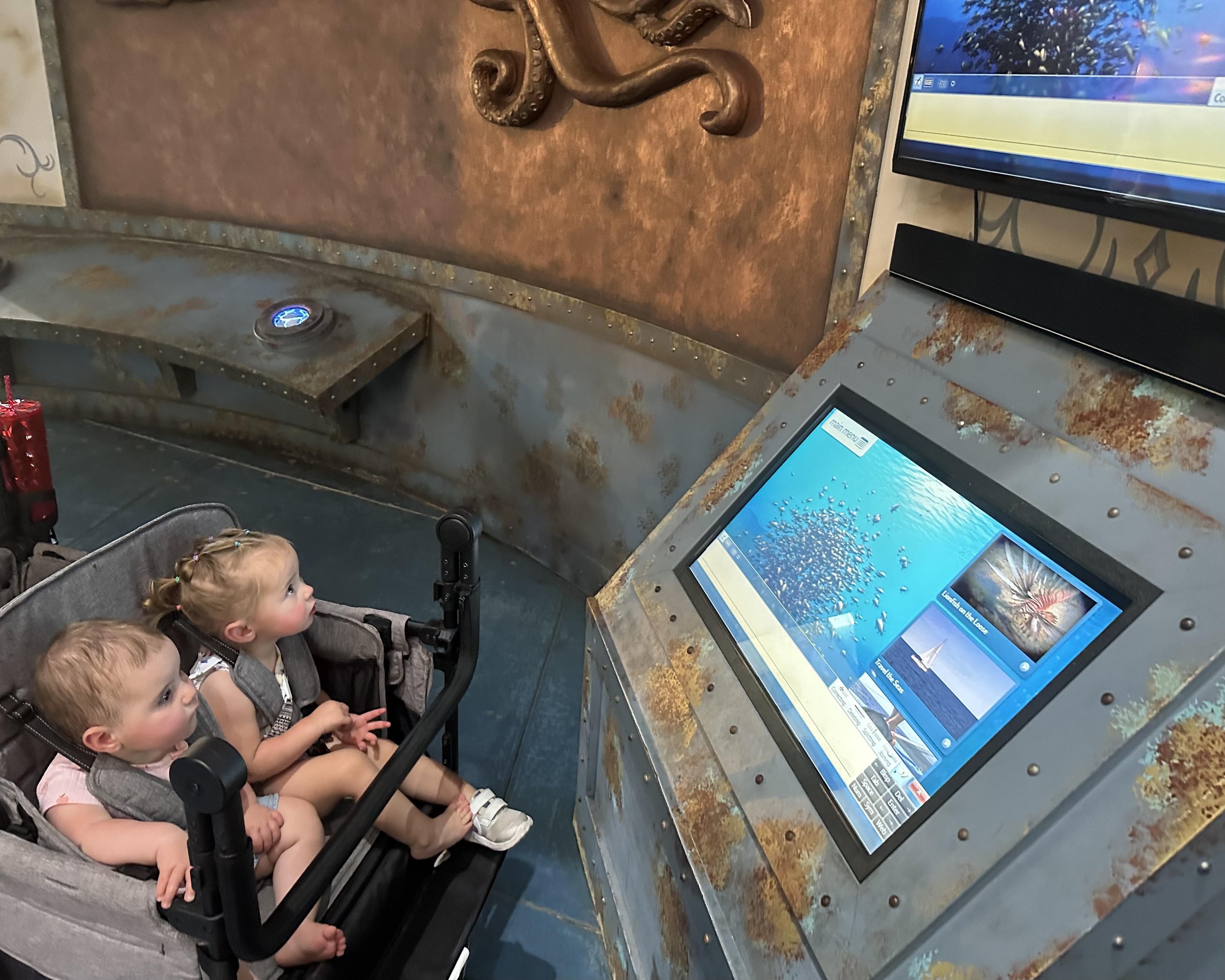 elise aquarium.jpg
