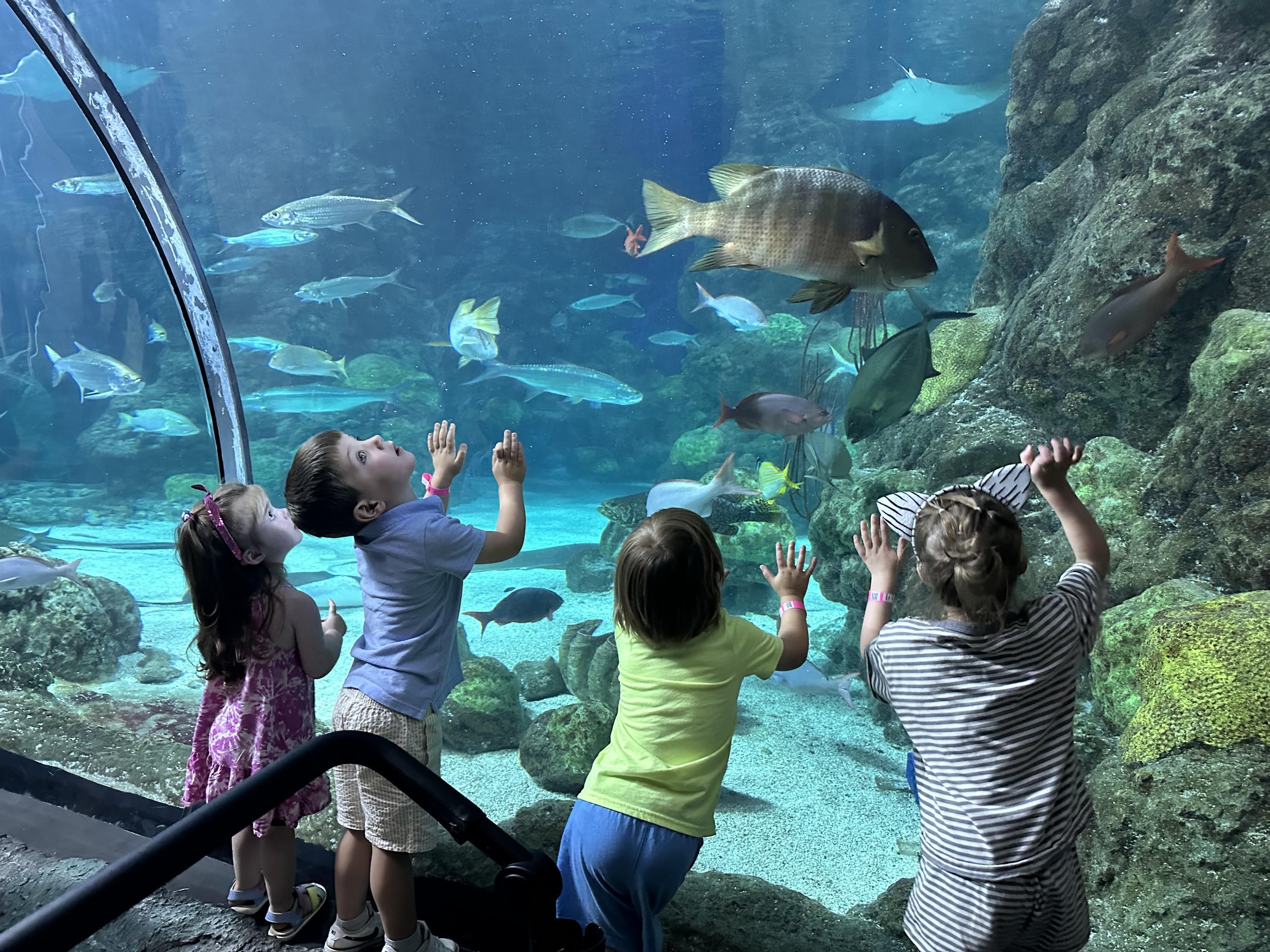 aquarium.jpg