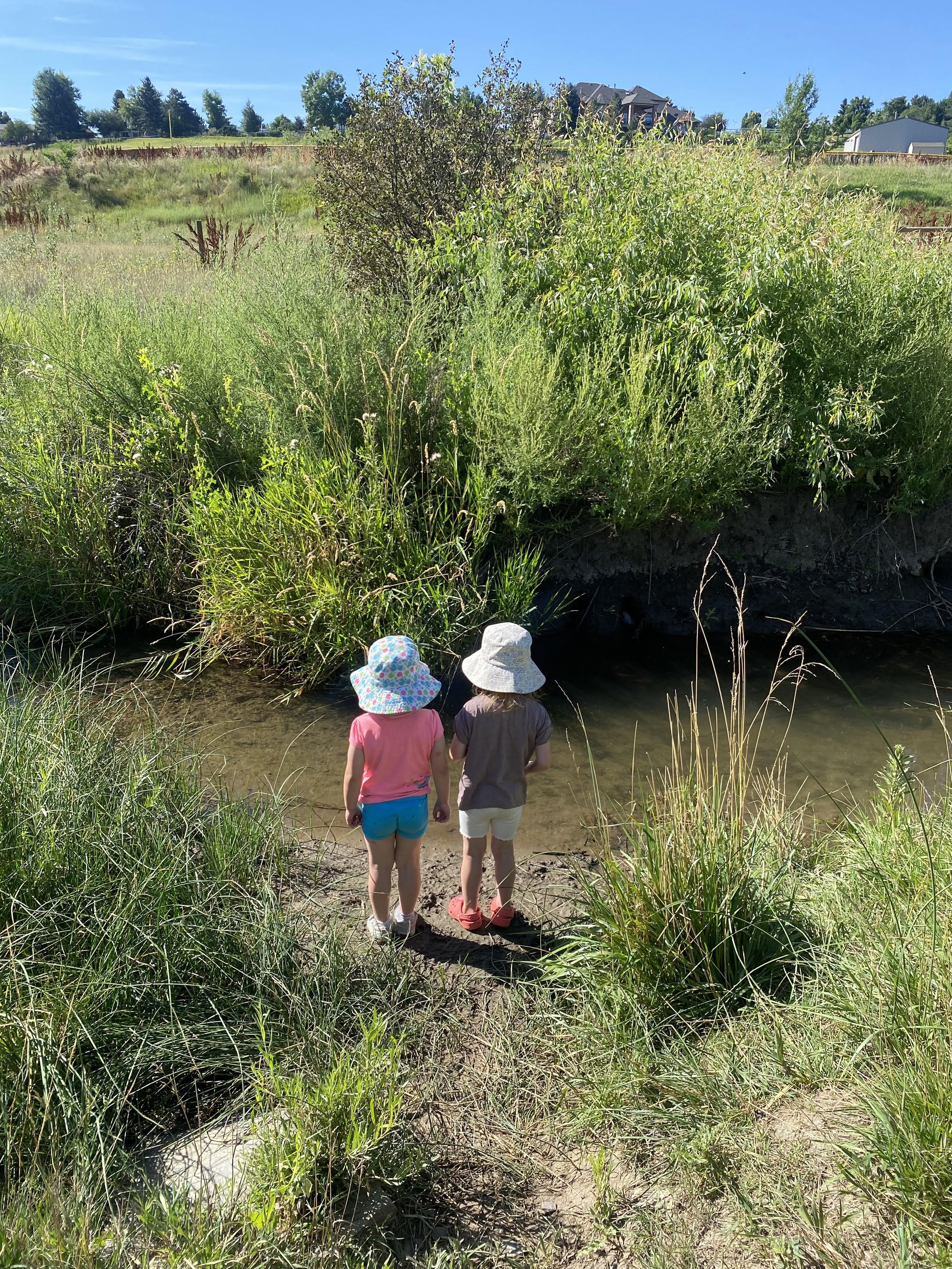 pop reyla creek.jpg