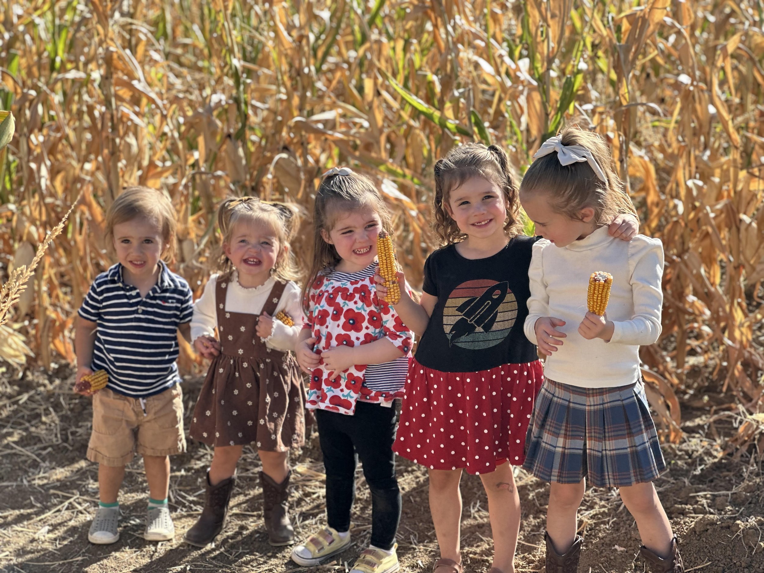 corn feild.jpg