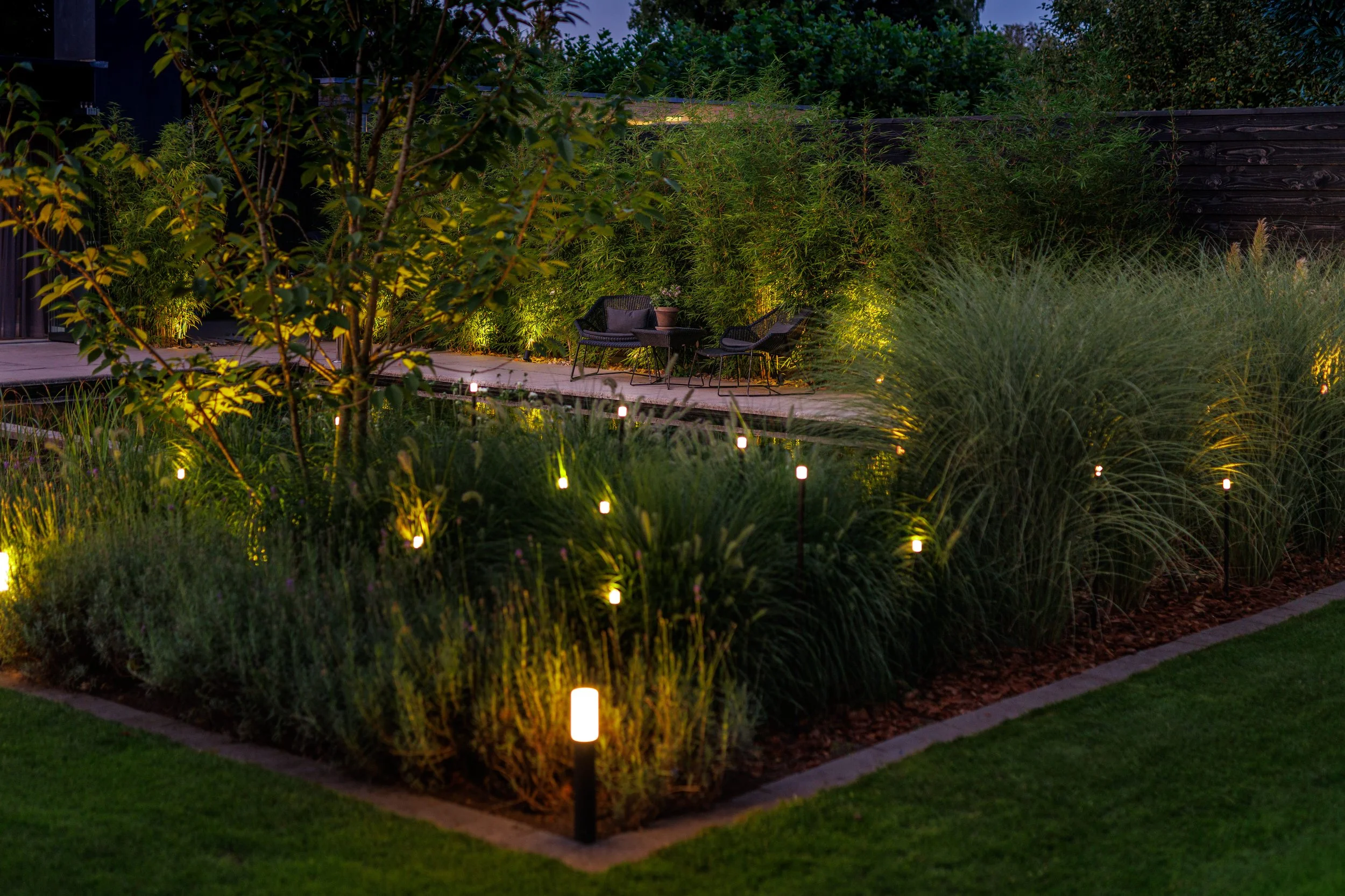 Lightpro 2025_25.jpg