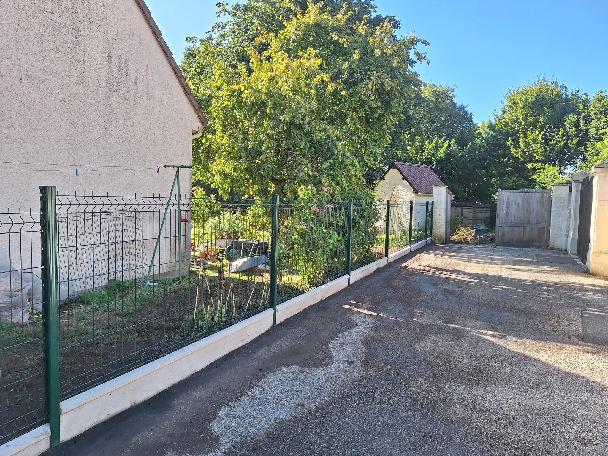 Un jardin avec un grand arbre vert, une clôture en métal et une maison en arrière-plan. Le ciel est bleu et le sol est en béton.