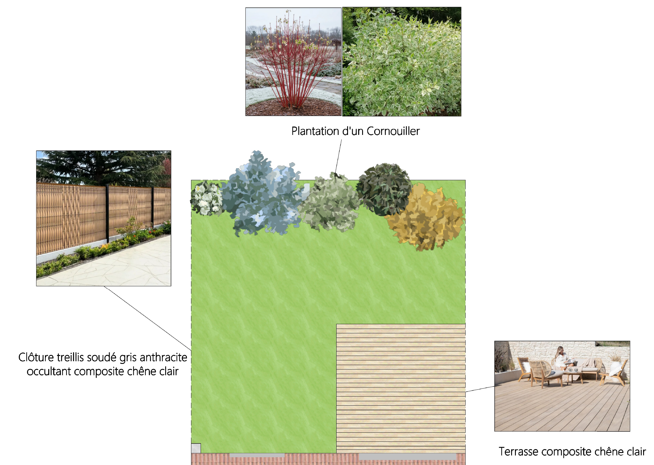 Plan d'aménagement paysager avec un clôture en treillis gris anthracite, plantation d'un Cornouiller avec des arbustes et un coin terrasse avec du composite chêne clair. Inclut des images d'un Cornouiller, clôture en bois, terrasse en composite de ch