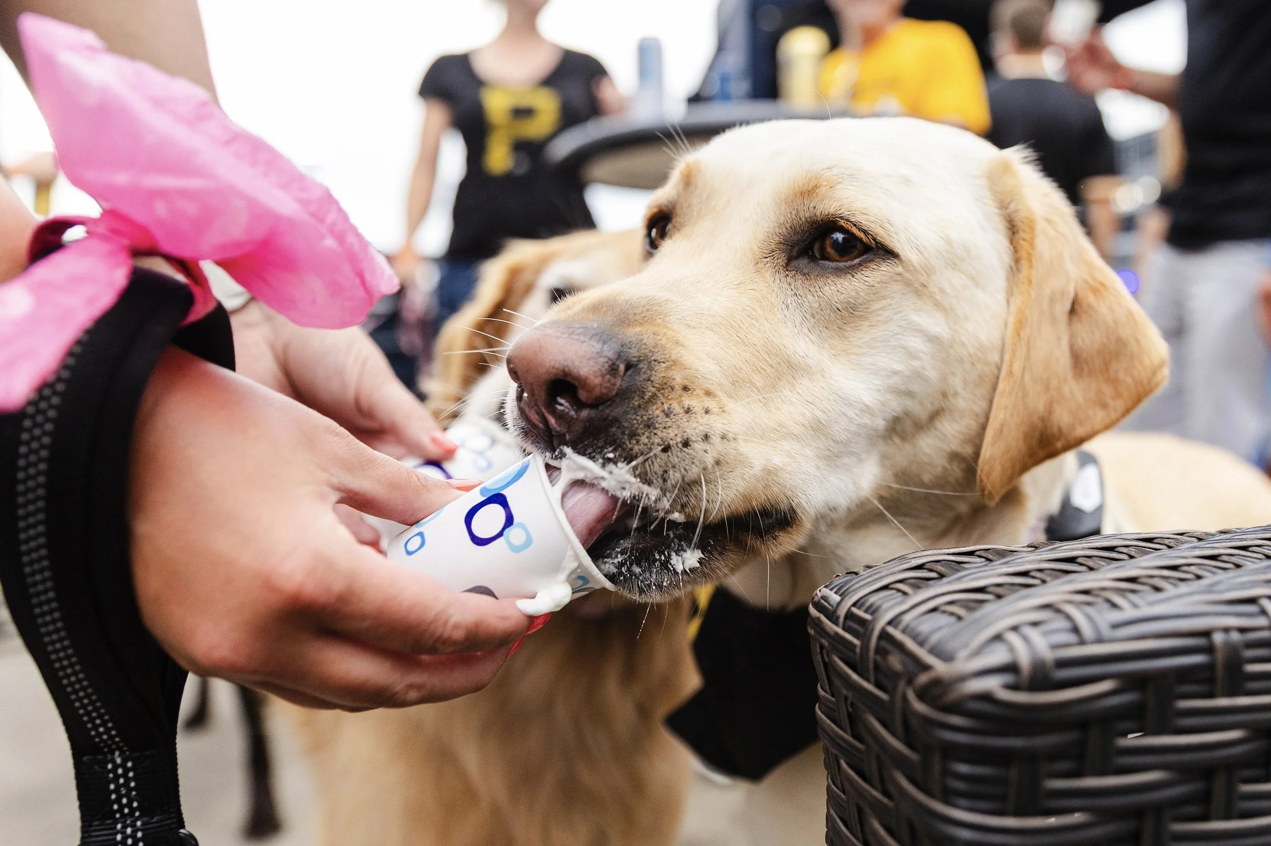 20250704_EB Ex 5-3_Original.JPEG