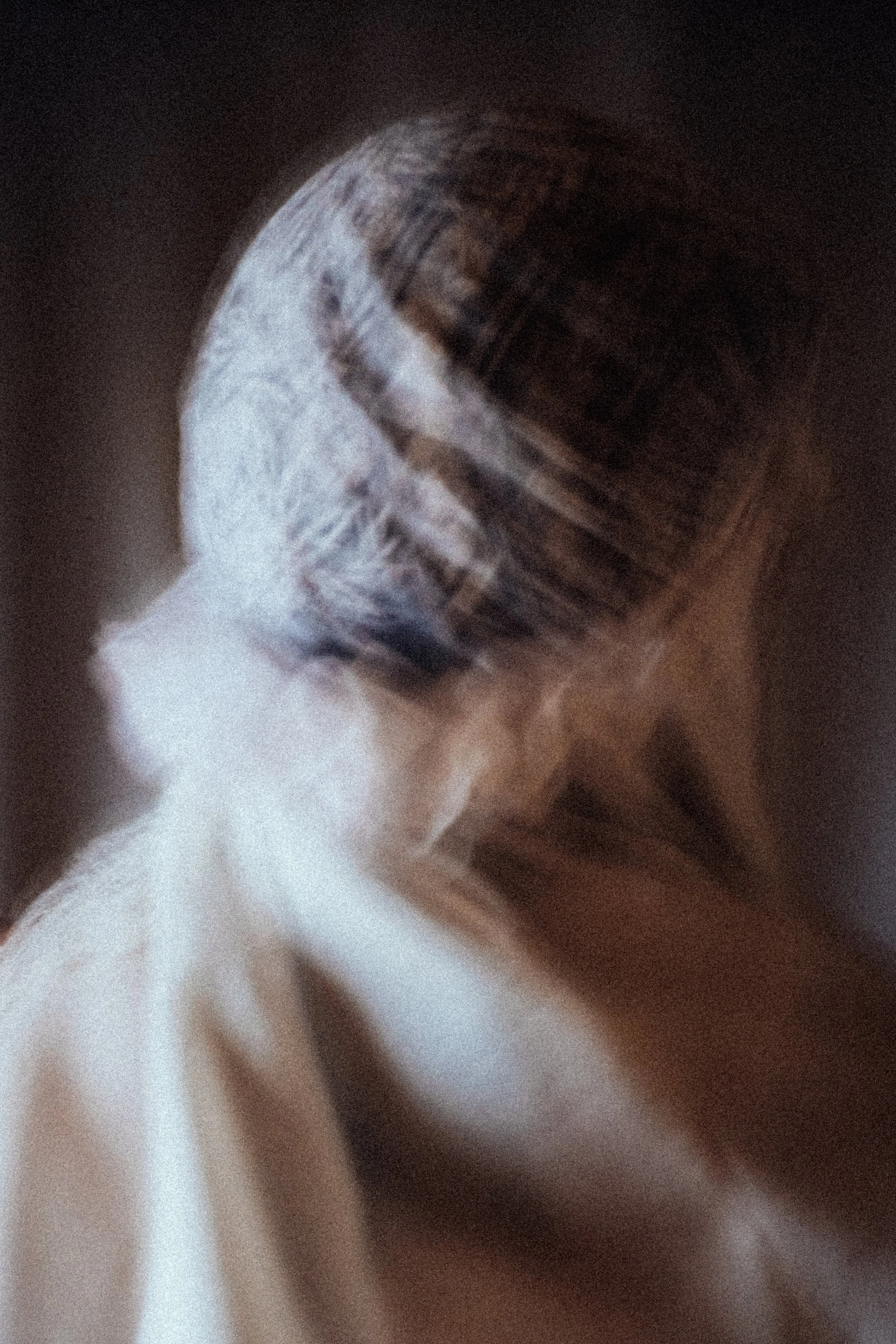 Aude Veil