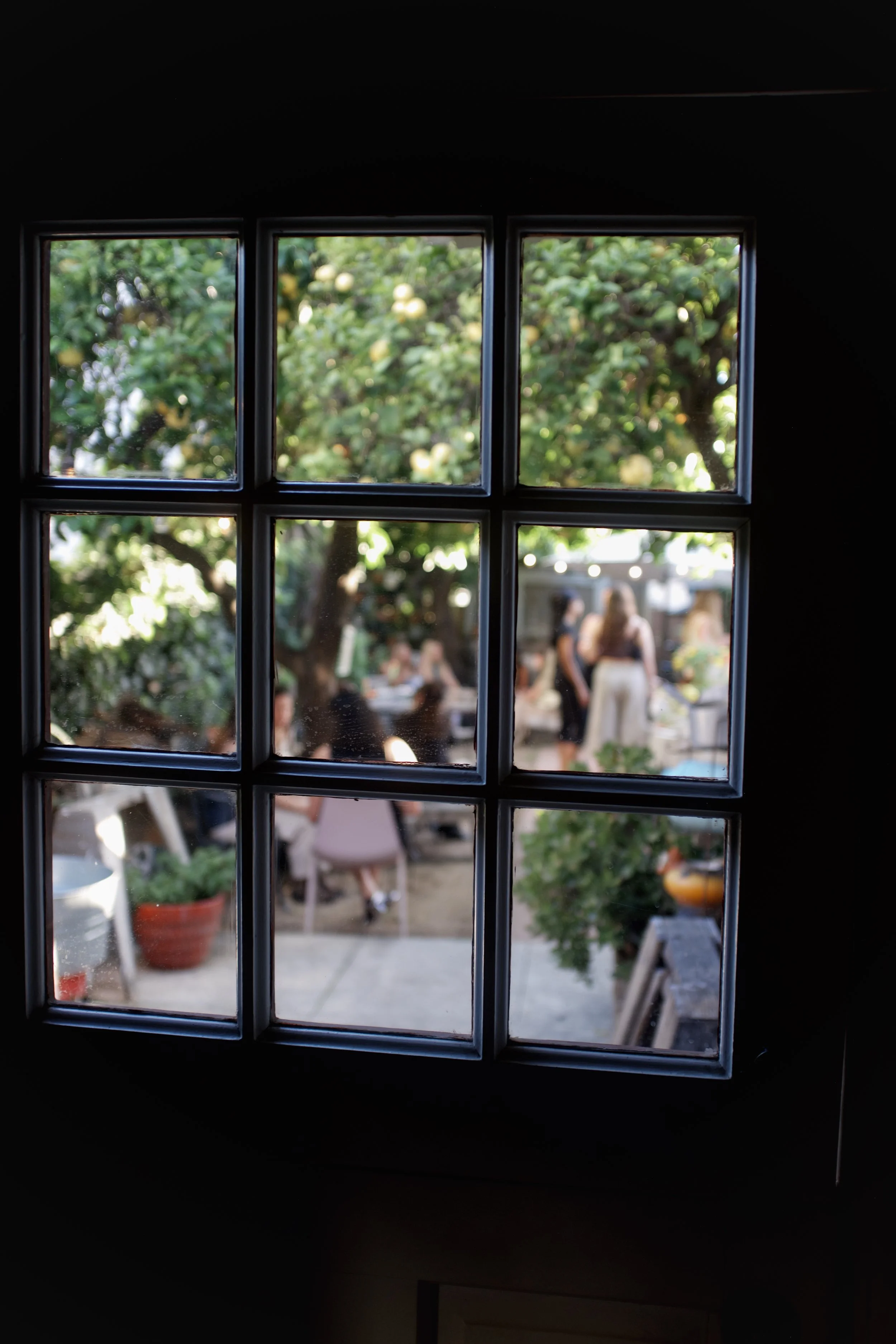 Looking through a small window at a backyard with trees, plants, and people socializing.