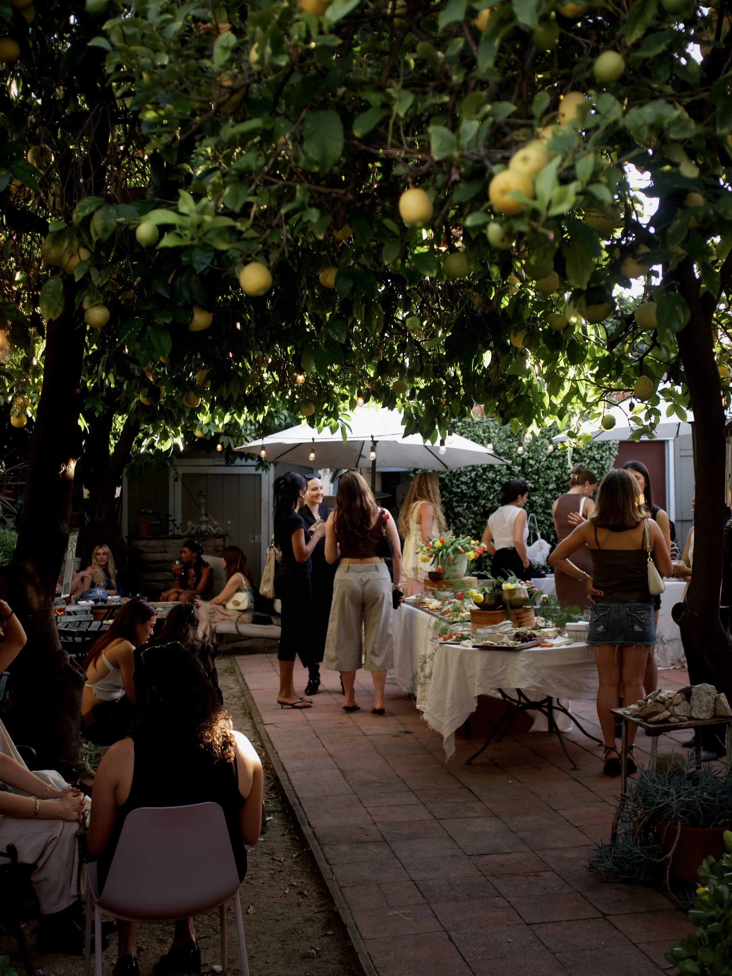 People gathering at an outdoor party under a tree with yellow fruit, in a backyard with a table of food and drinks, some seated and some standing and chatting.