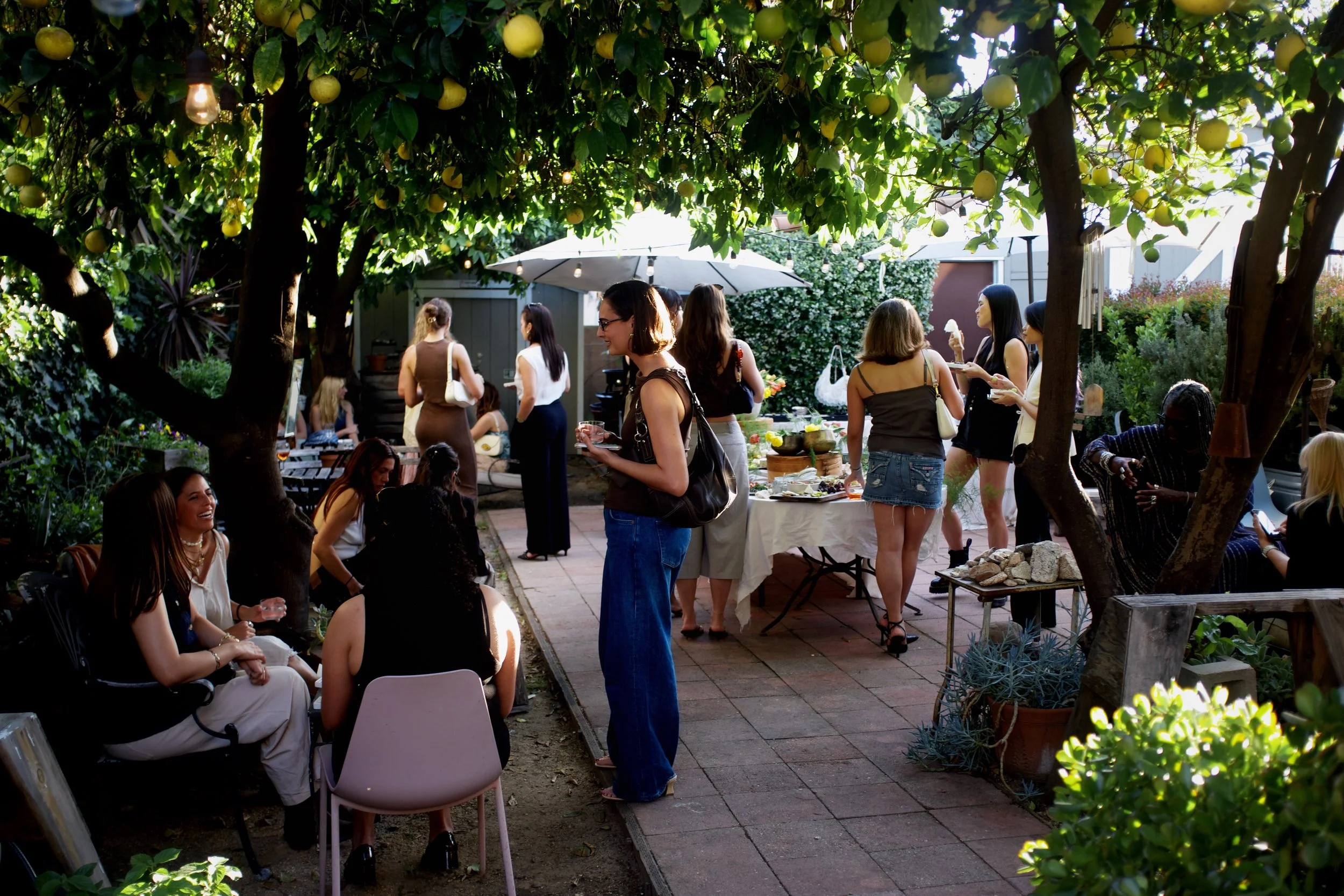 A group of women at a garden party, with some seated and others standing, under the shade of fruit trees with hanging yellow lemons, in a backyard with outdoor furniture and a table of food.