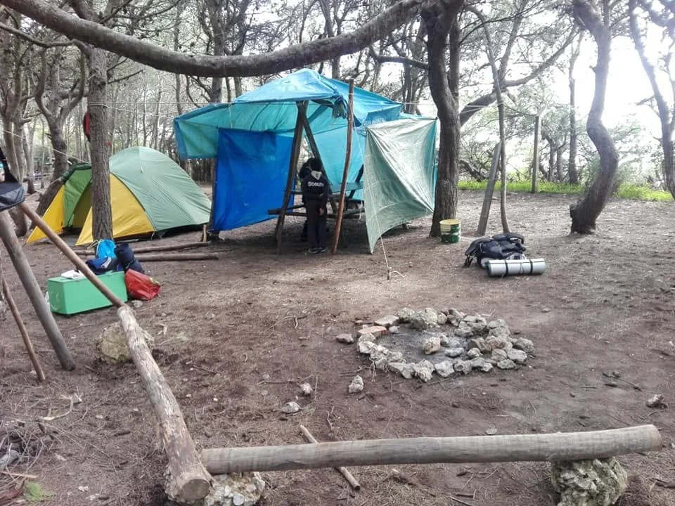 Campo