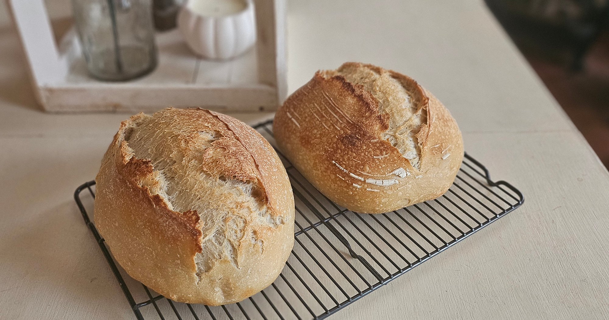 Plain Sourdough Bread