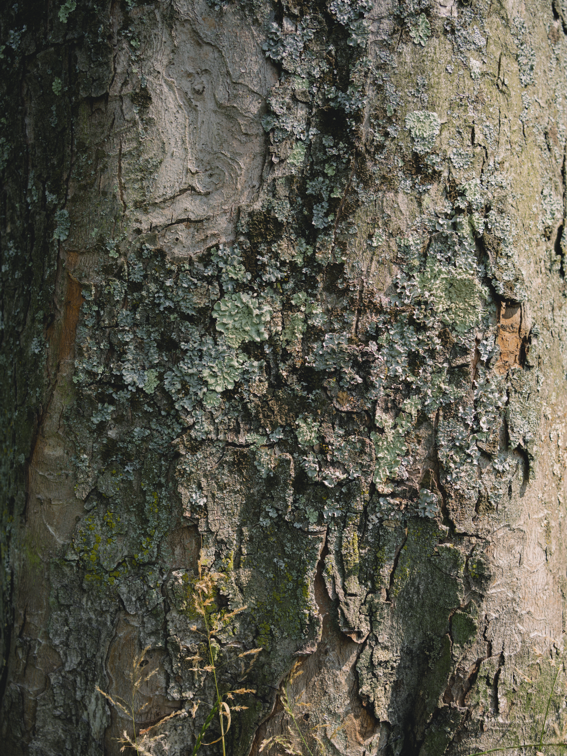 No Soy de Aquí, Ni Soy de Allá / Trunk's Lines, Amsterdam, 2025