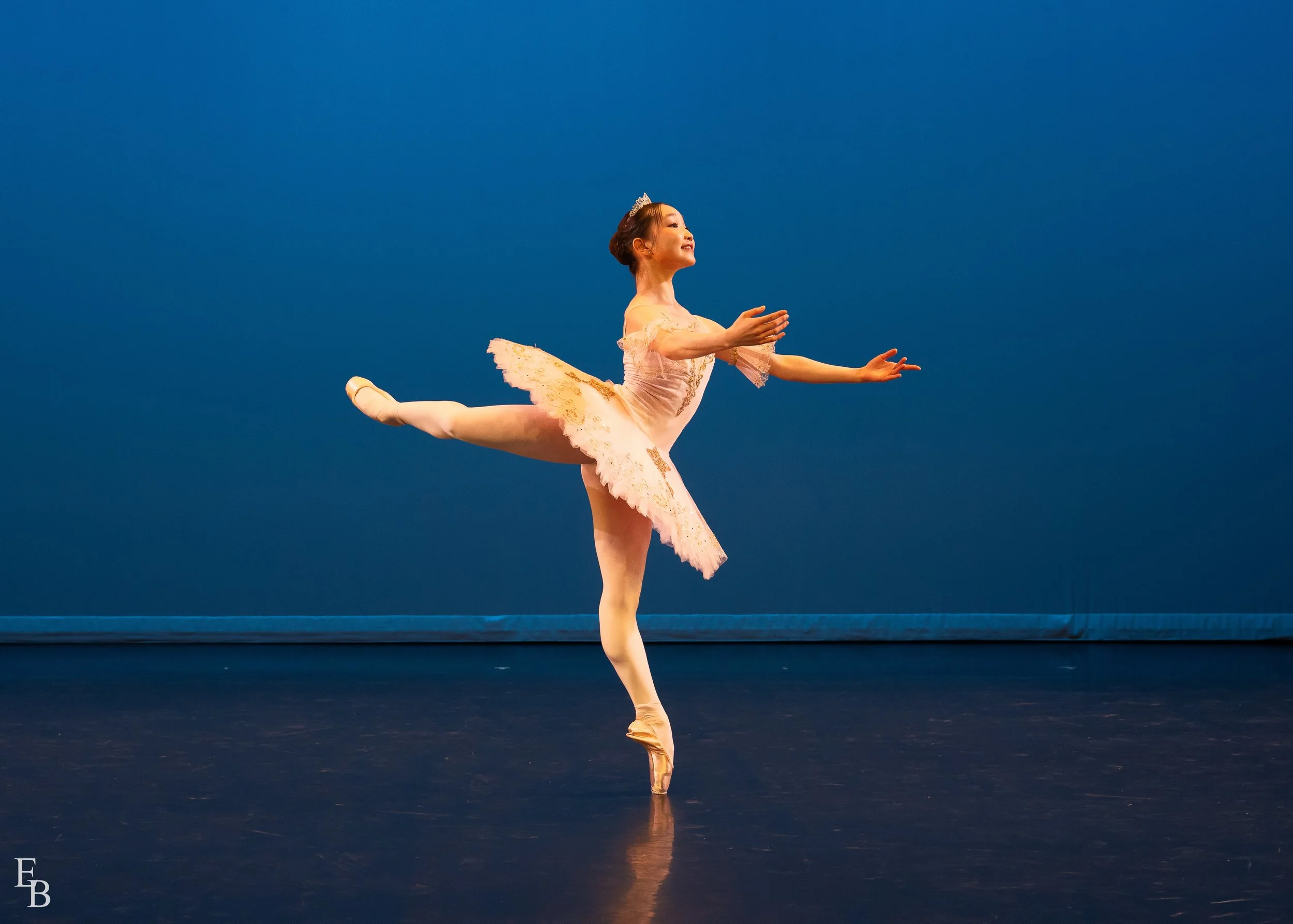 Dulcinea Variation - Sakura_89_KCF0984-HighRes-Print_edit.jpg