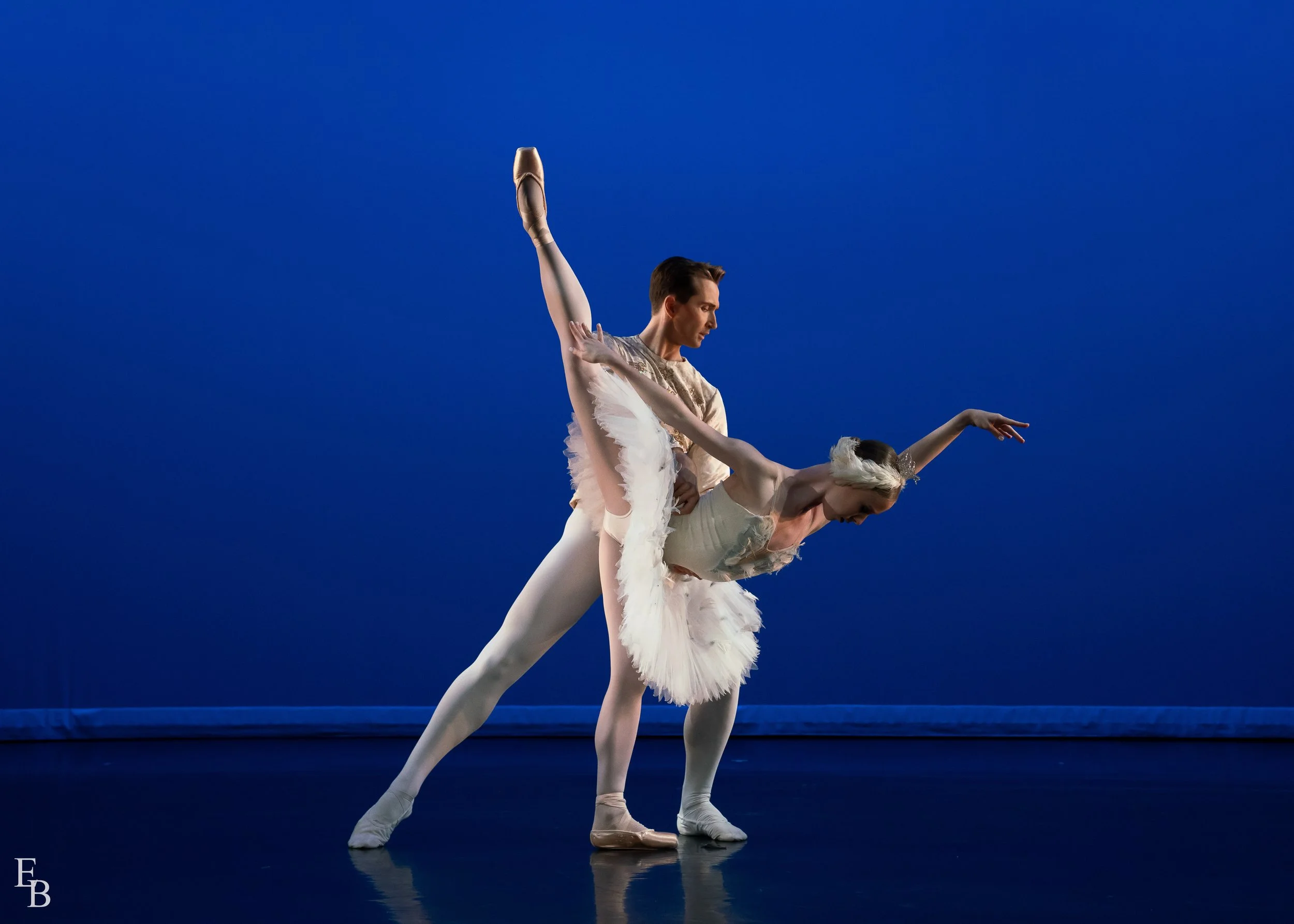 Swan Lake PDD_476_KCF0931-HighRes-Print_edit.jpg