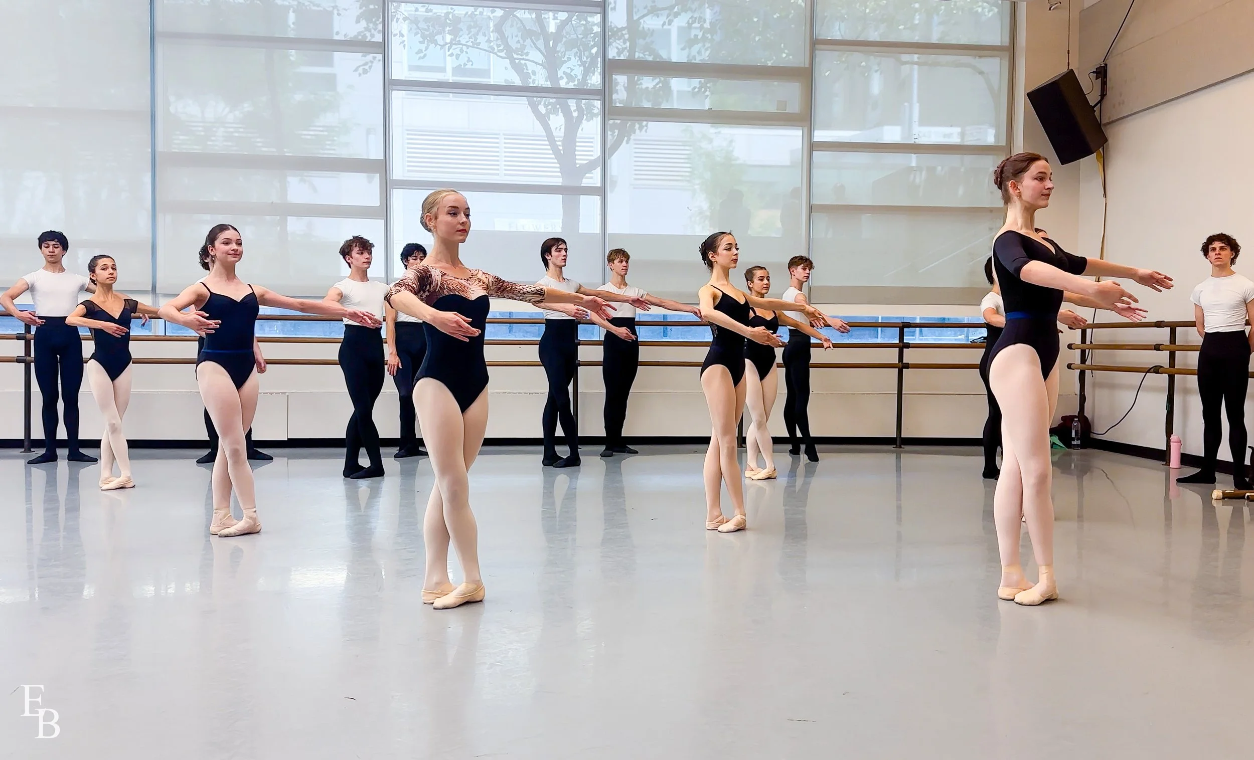 PDDI 2025 Technique_edited_27.jpg