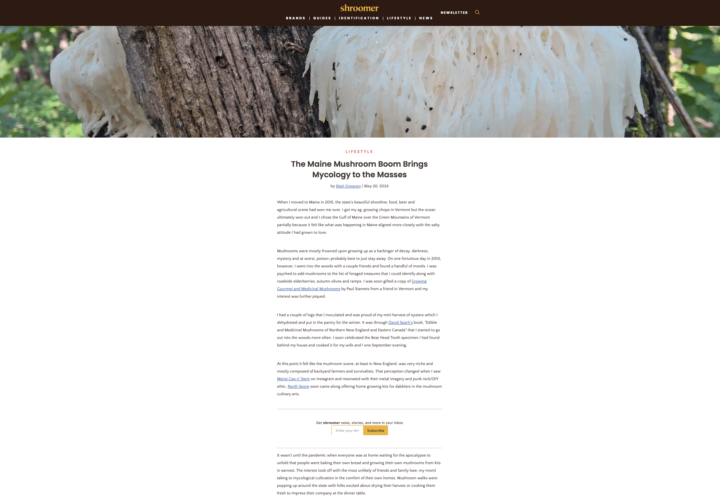 Screenshot 2024-10-28 at 2.09.14 PM.png