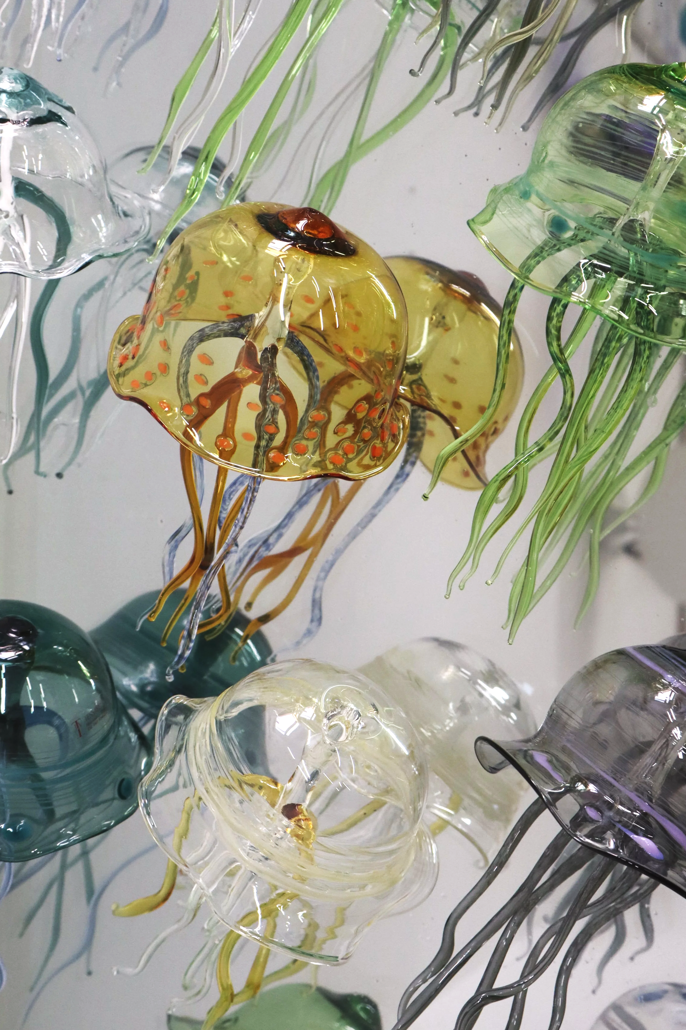Foto di meduse di vetro colorate con tentacoli traslucidi, sospese in un'acquario o esposizione.