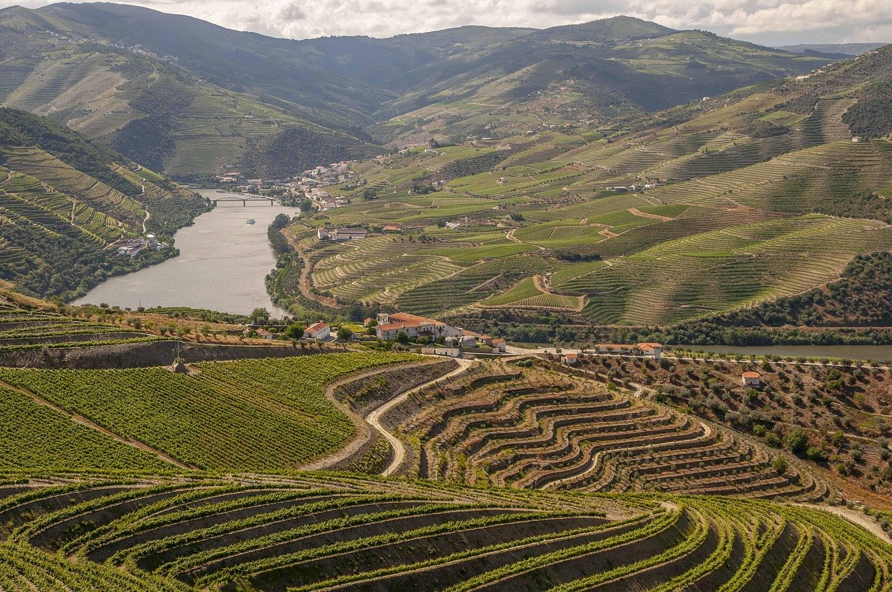 douro-4768654_1280.jpg