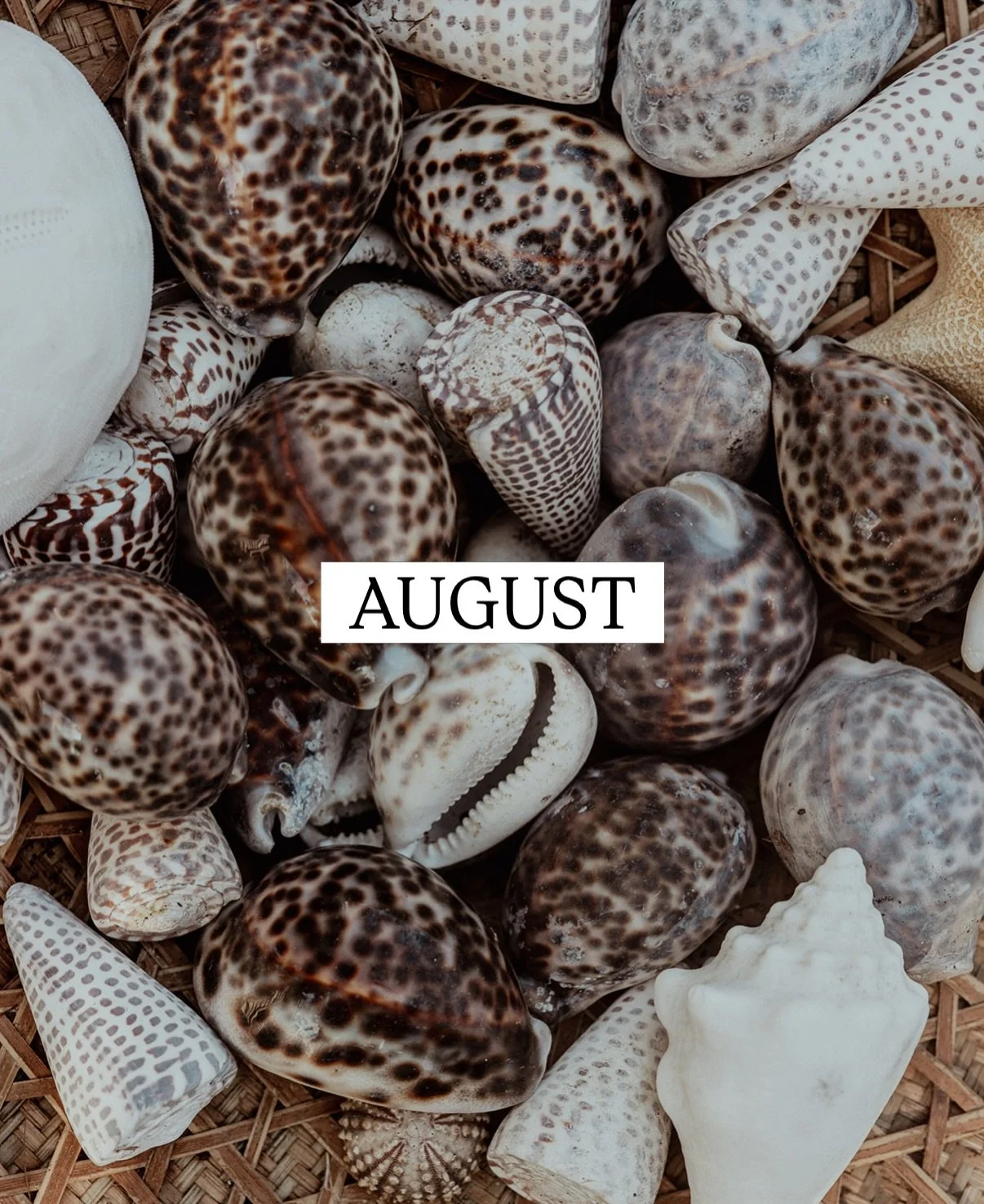 August lasted 3 months, and we worked, played, and back-to-schooled our hearts out
