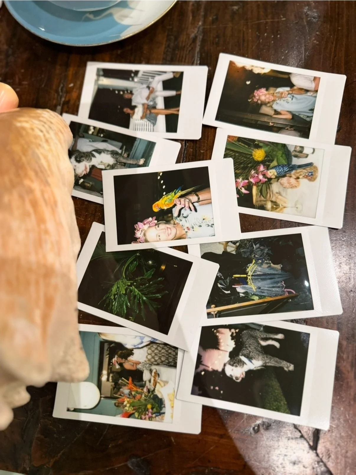 It wouldn&rsquo;t have been a proper old Florida party for @gardenandgun without a pop up hurricane and a parrot. @sarahsoulewebbstudios delivers the fun, rain or shine, and it was so fun celebrating with her and her hometown of fans- I mean friends!