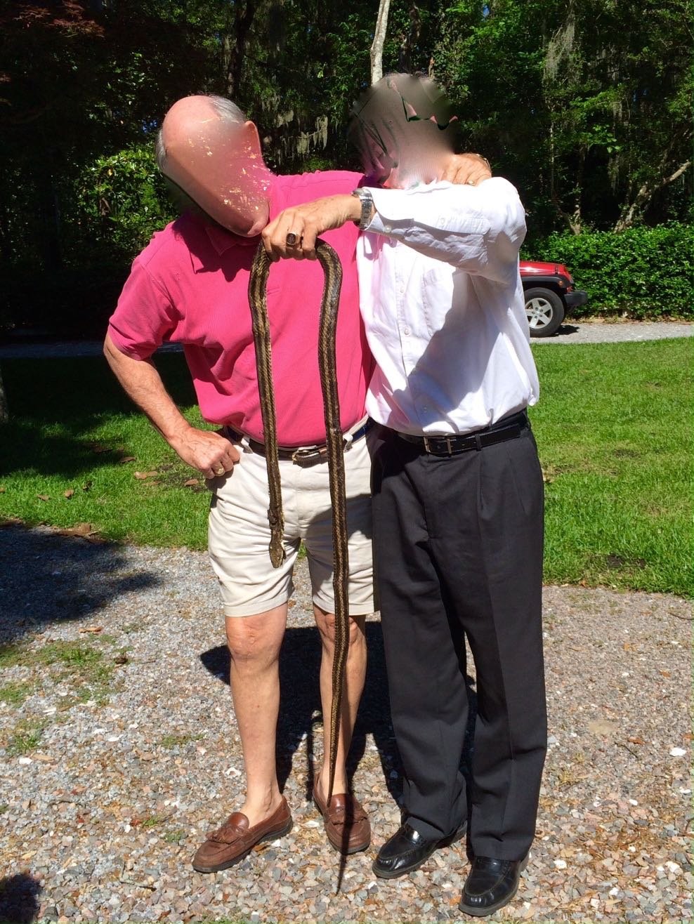 A Very Short Play on the May