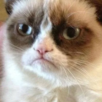 “Accentuate the Positive”