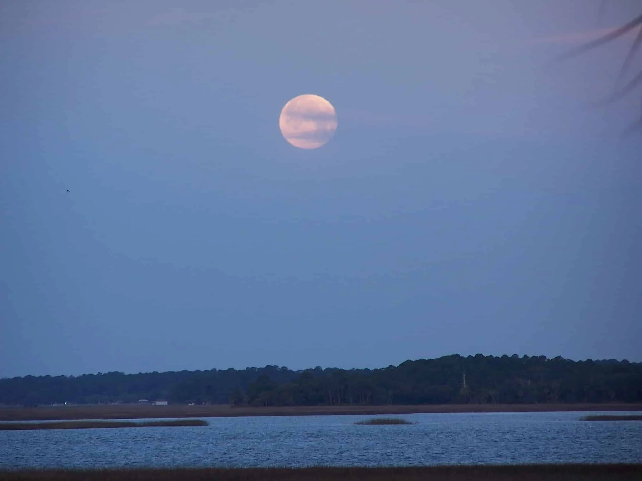 The Dark Side of Life on the May