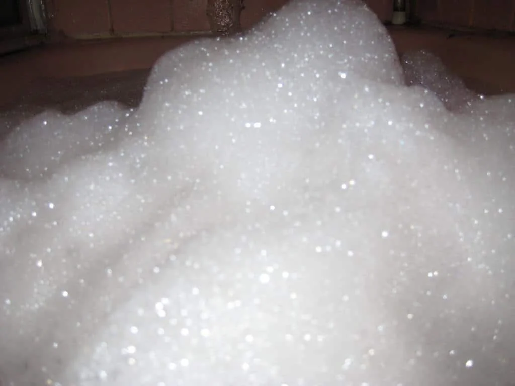 To Flea or Not To Flea?