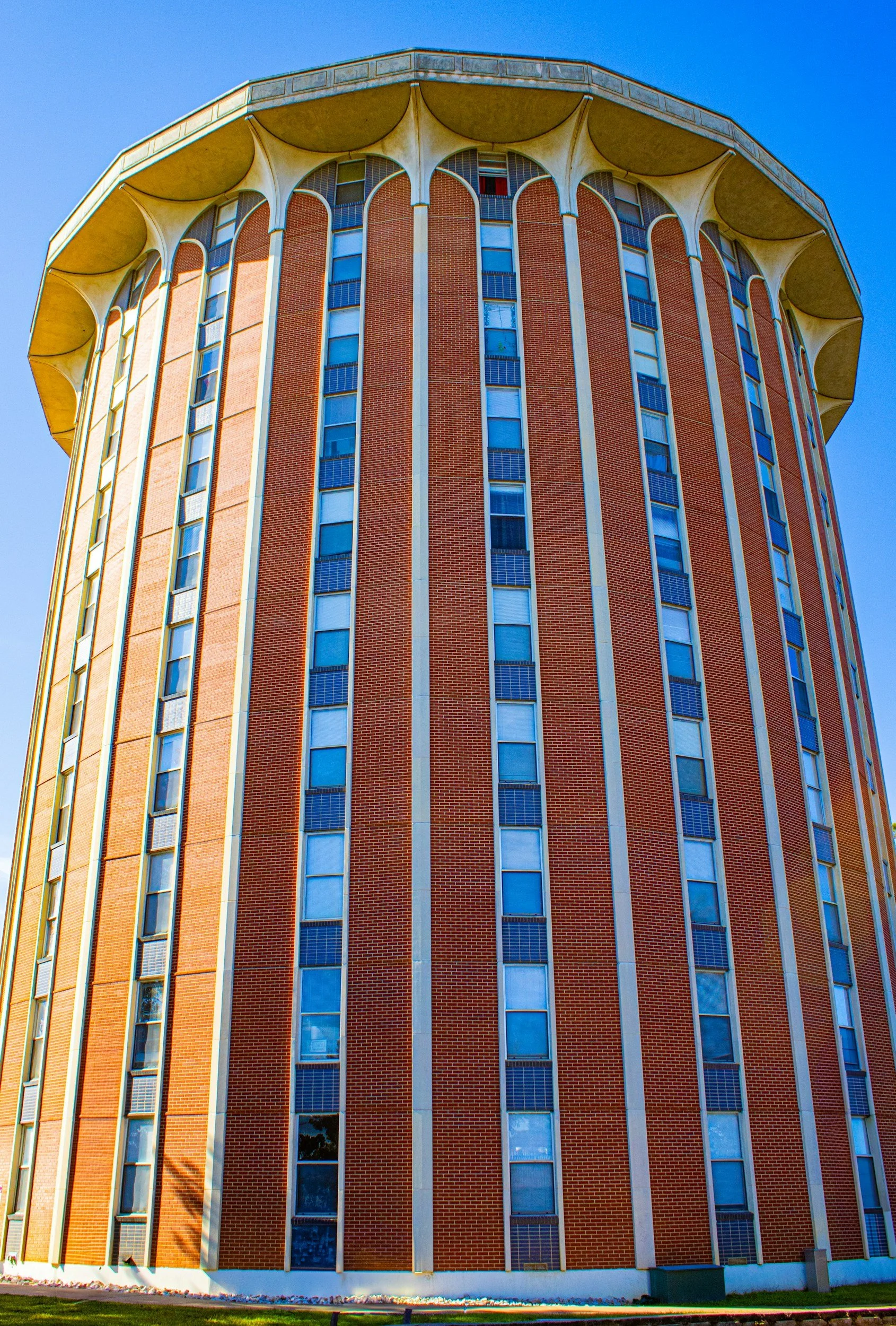 Adjusting to College Life at SFA: Mental Health Tips for Students