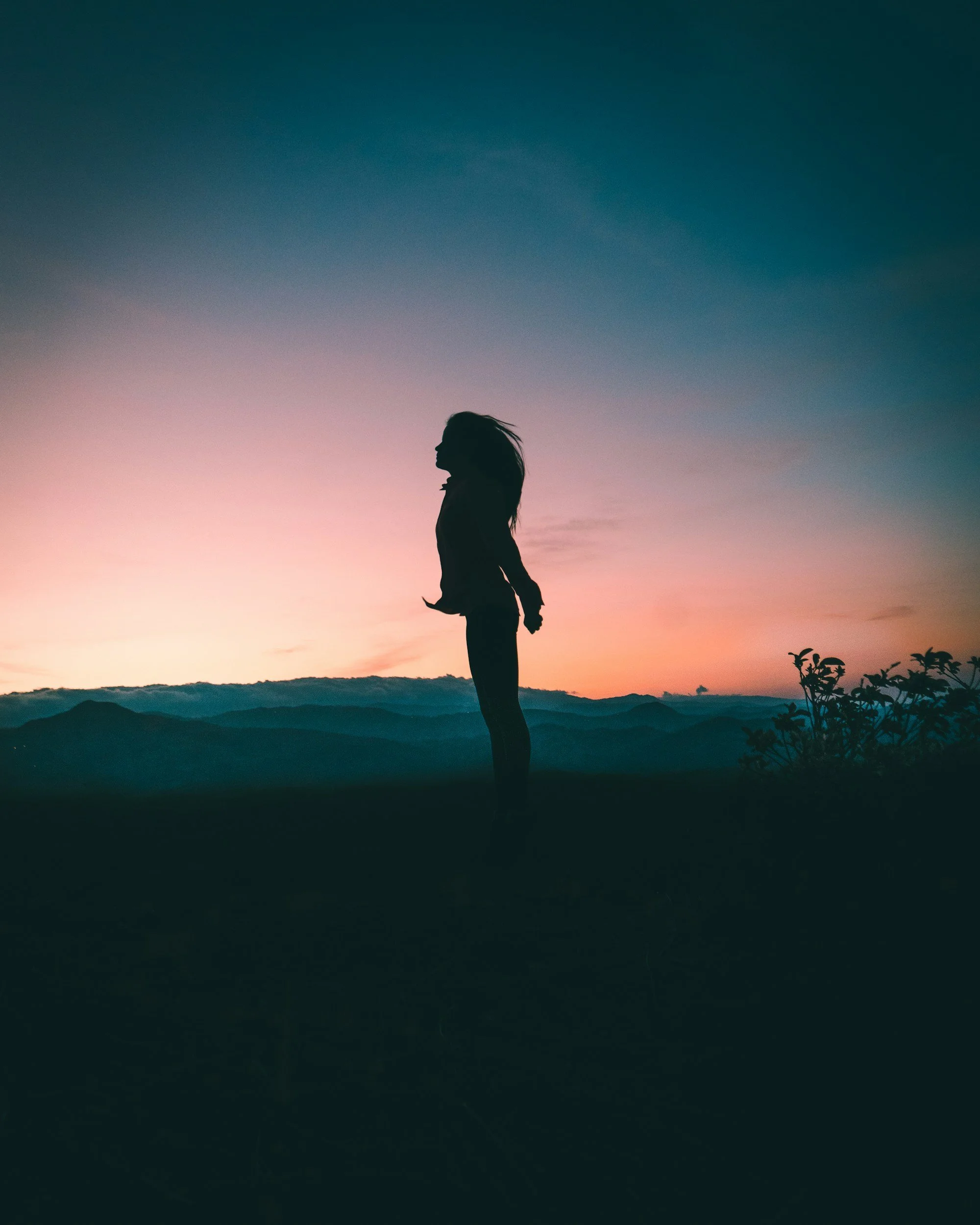 Secure online therapy sessions available across Texas, Florida, and Arkansas