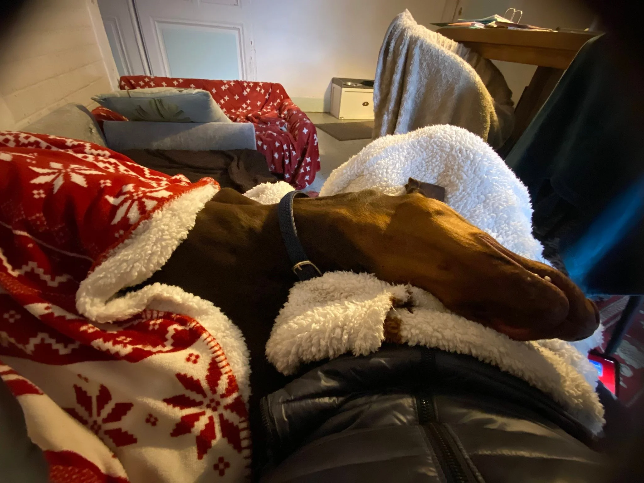 Quand mon Titus, blotti tout contre moi, me montre son plus beau sourire 😃 

Merci gentil Titi &hearts;️