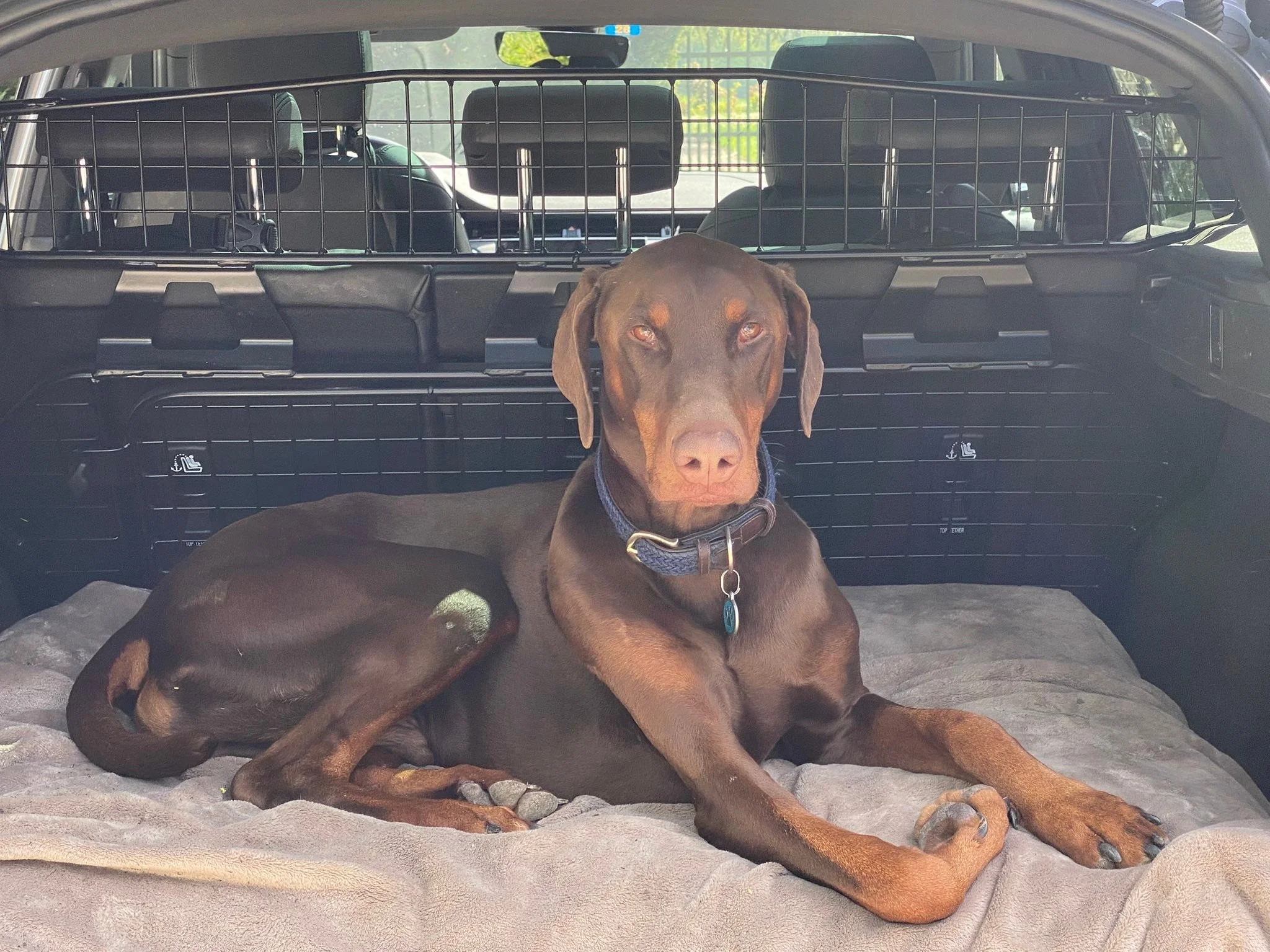 Mes deux gar&ccedil;ons, Titus et Zipo