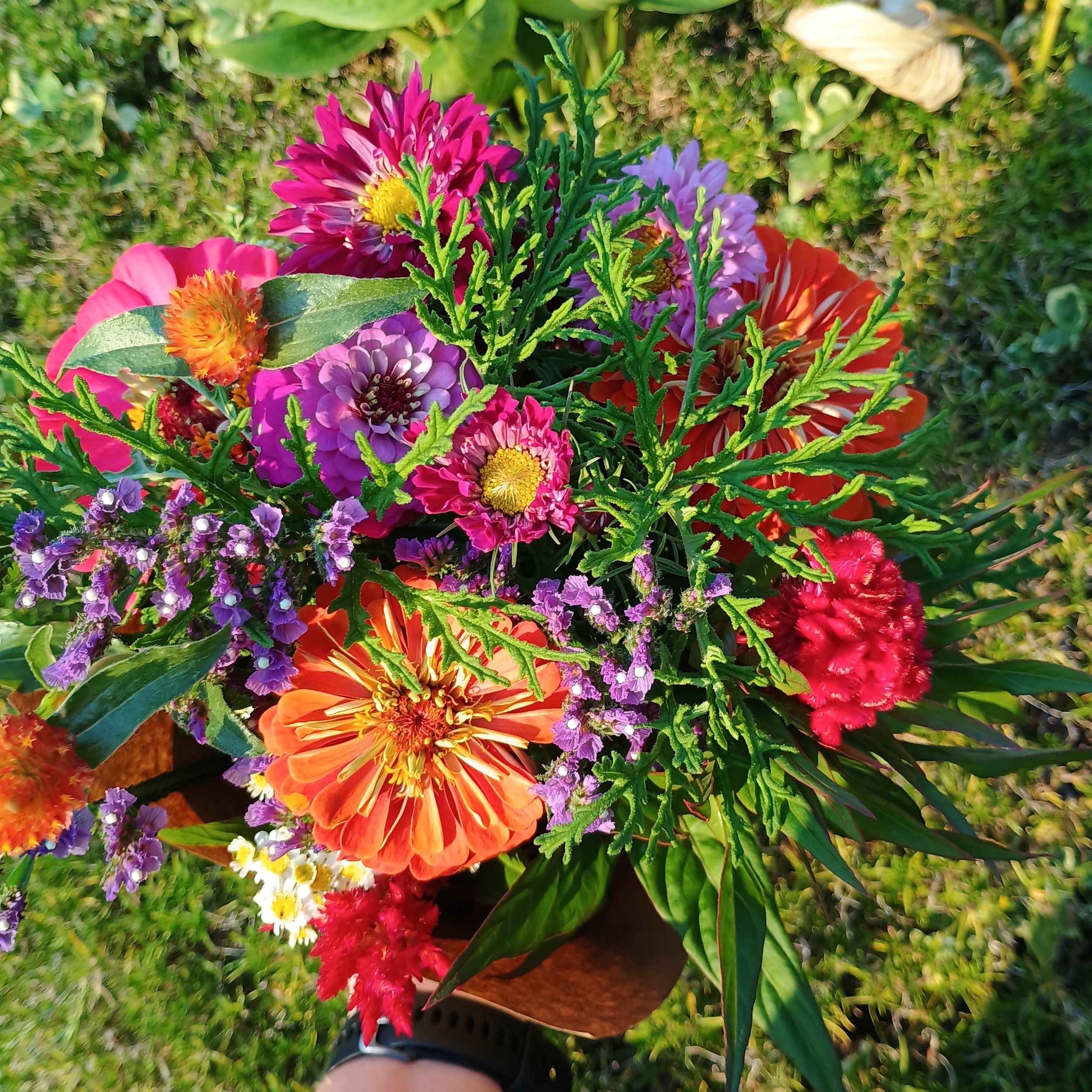 IMG_20250807_071337303_HDR (1).jpg