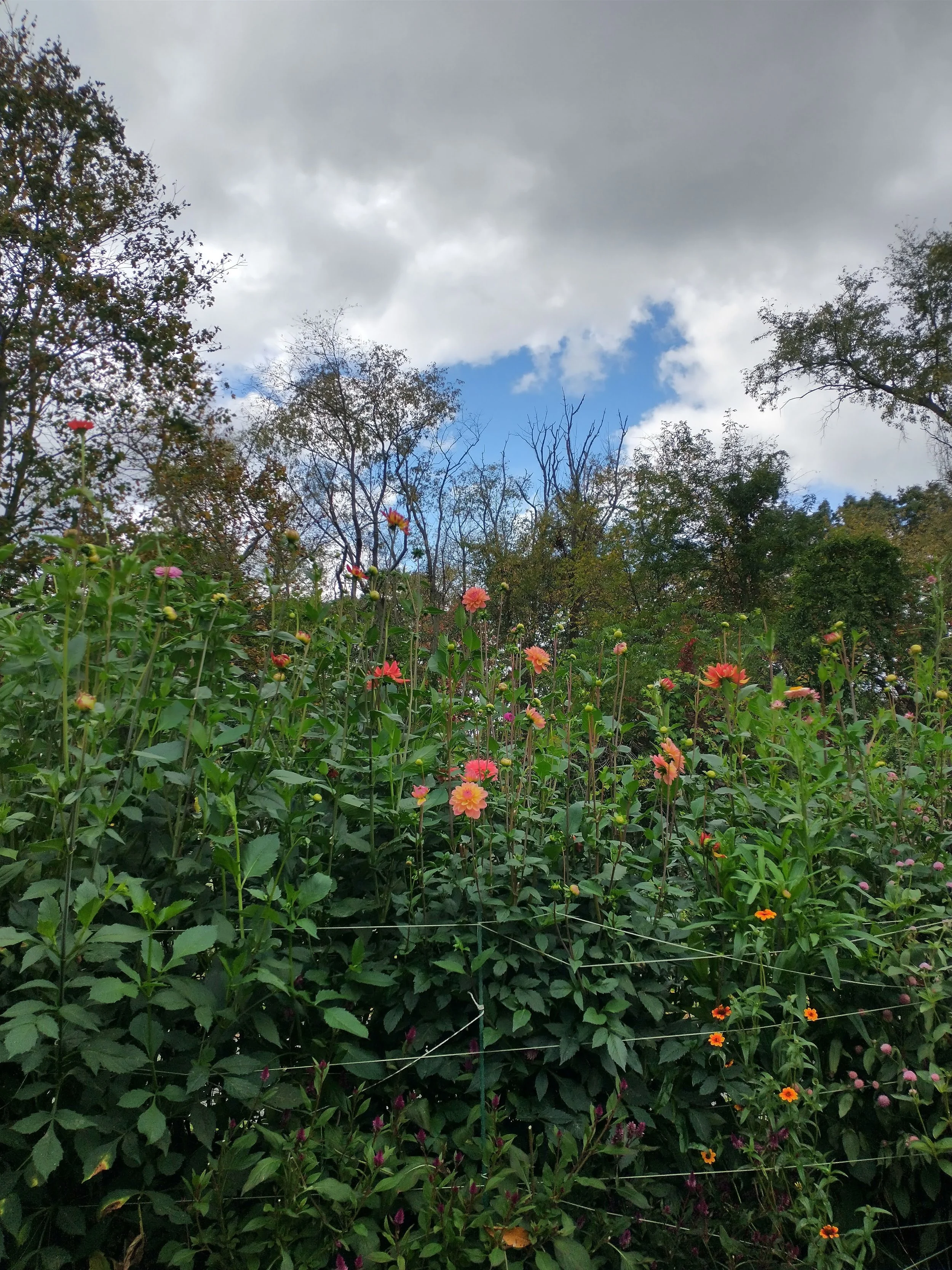 IMG_20231008_134759886_HDR.jpg