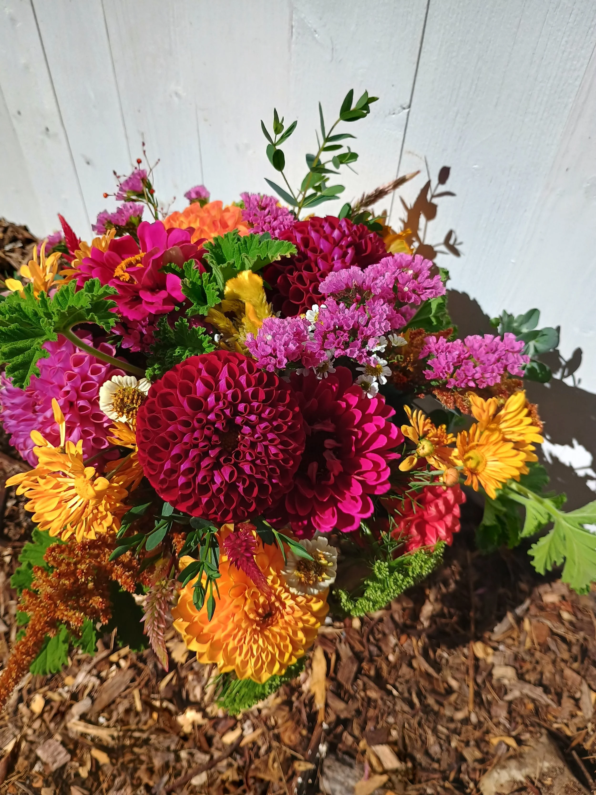 IMG_20251009_135801144_HDR (1).jpg