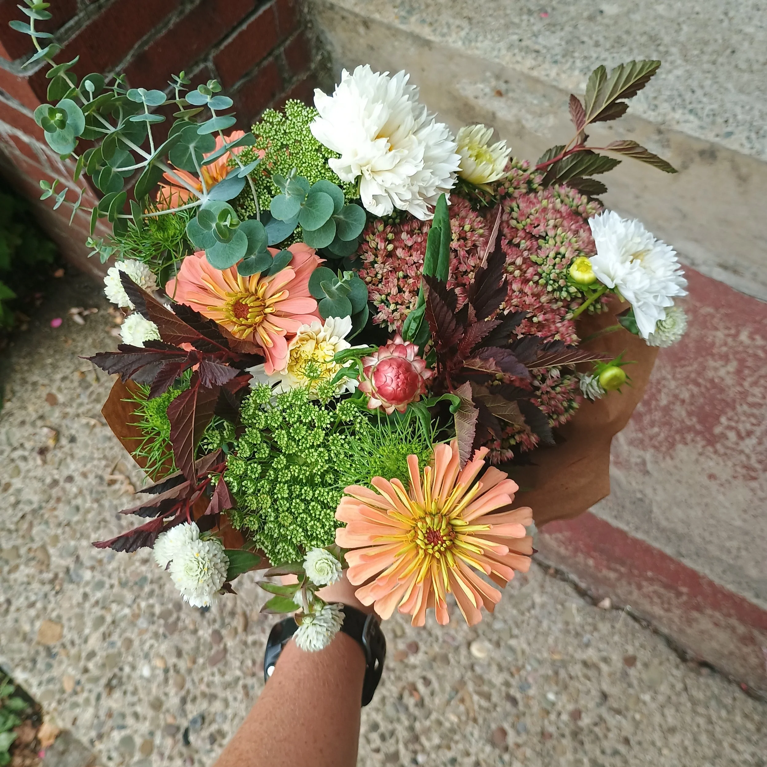 IMG_20250904_074049438_HDR (1).jpg