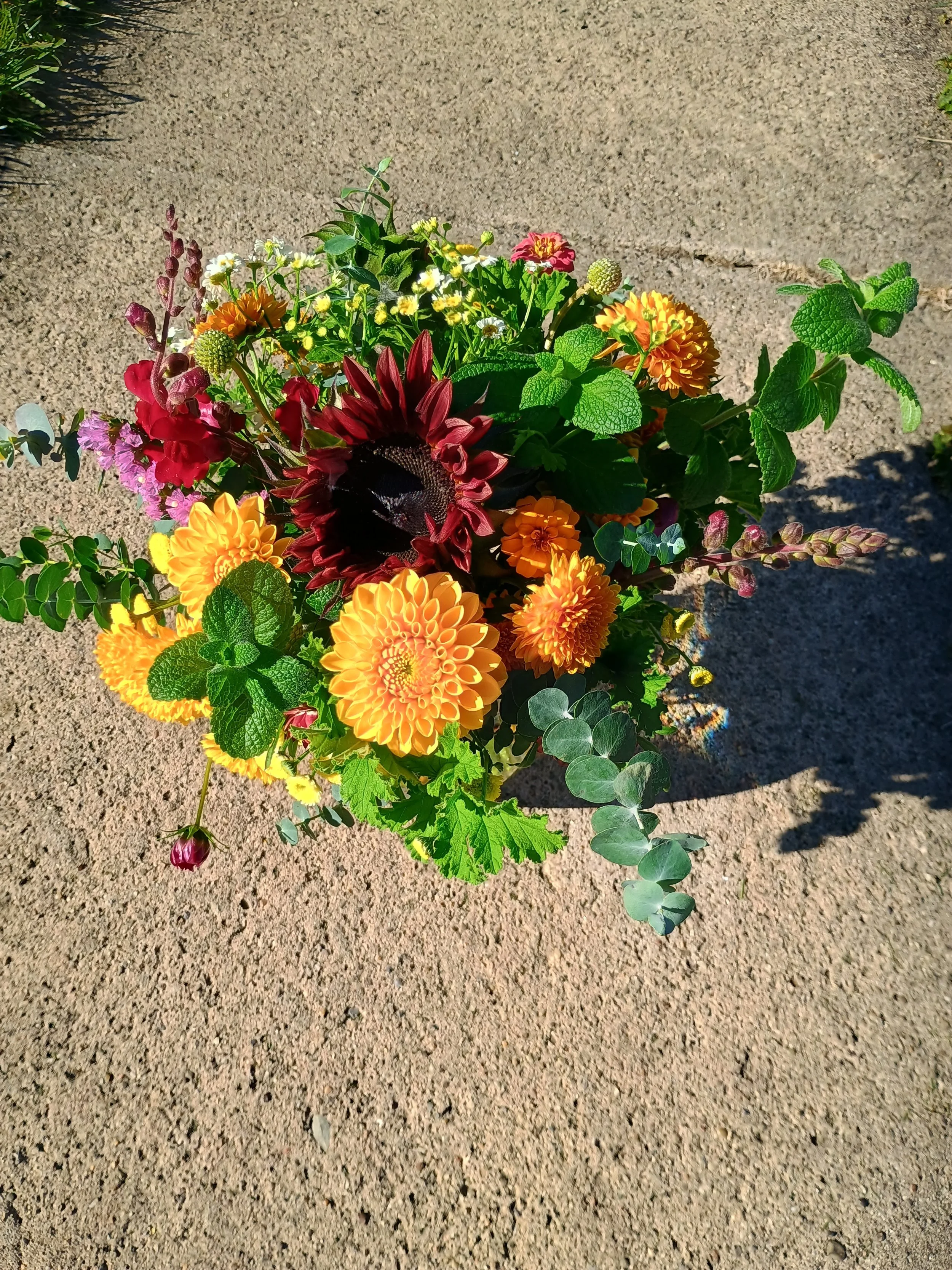 IMG_20251028_110728929_HDR (1).jpg