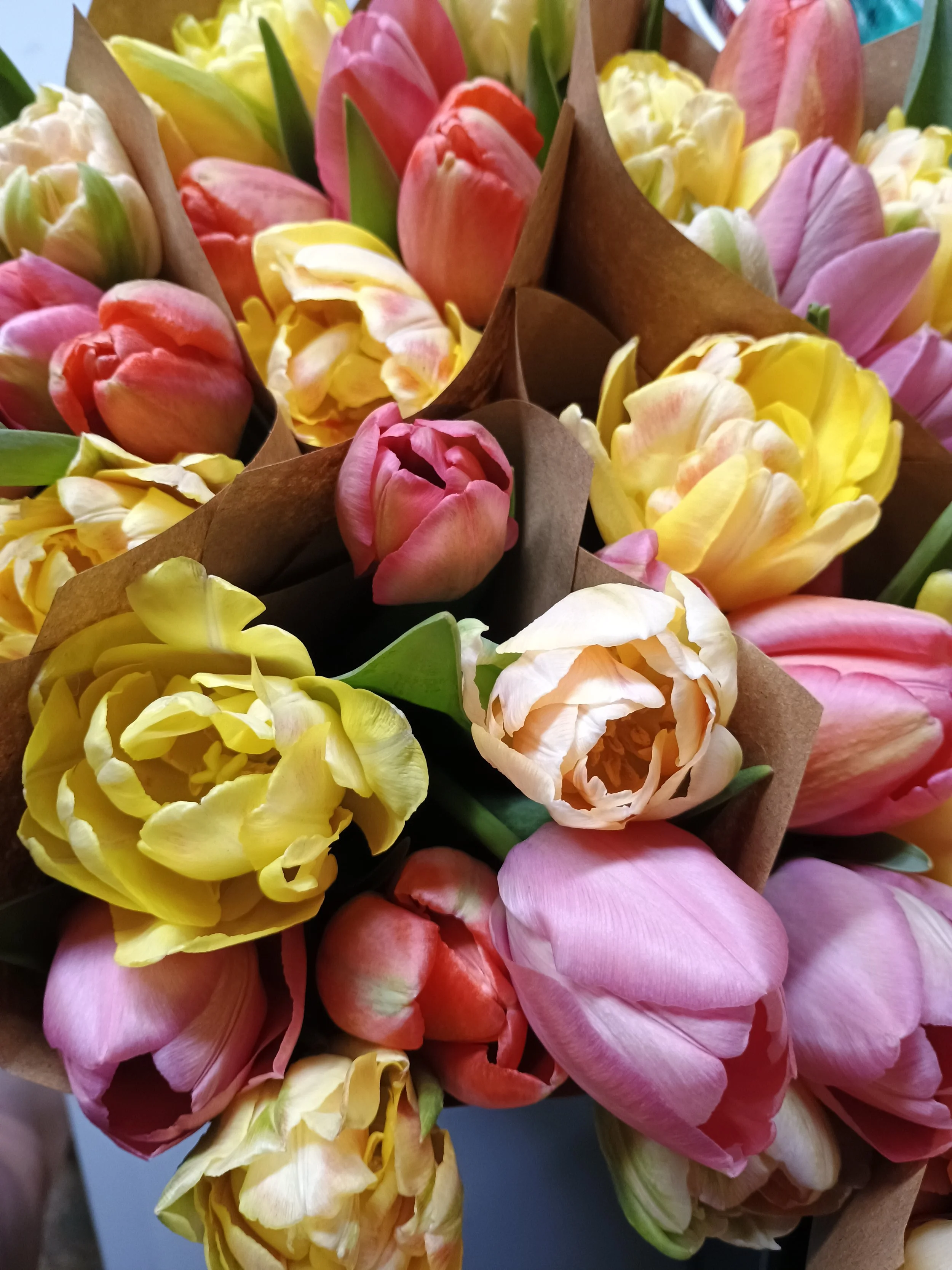 IMG_20250421_135531407 (1).jpg