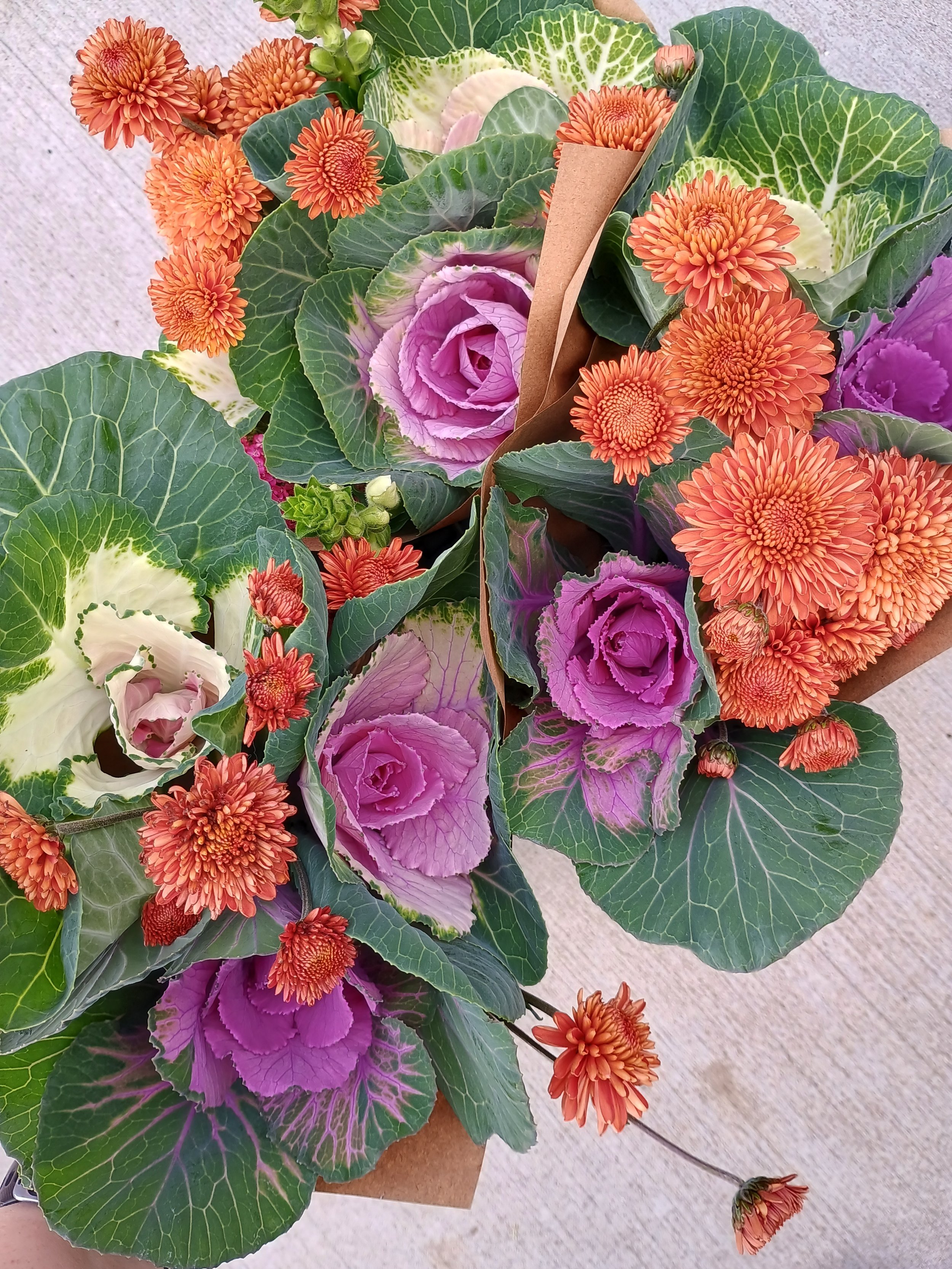 IMG_20251117_085237148_HDR (1).jpg