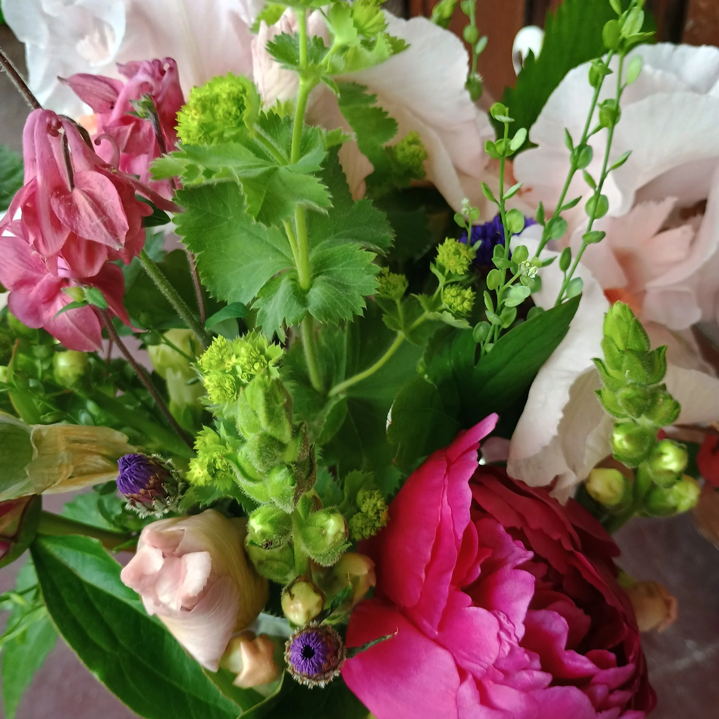 IMG_20250520_162112498_HDR (1).jpg