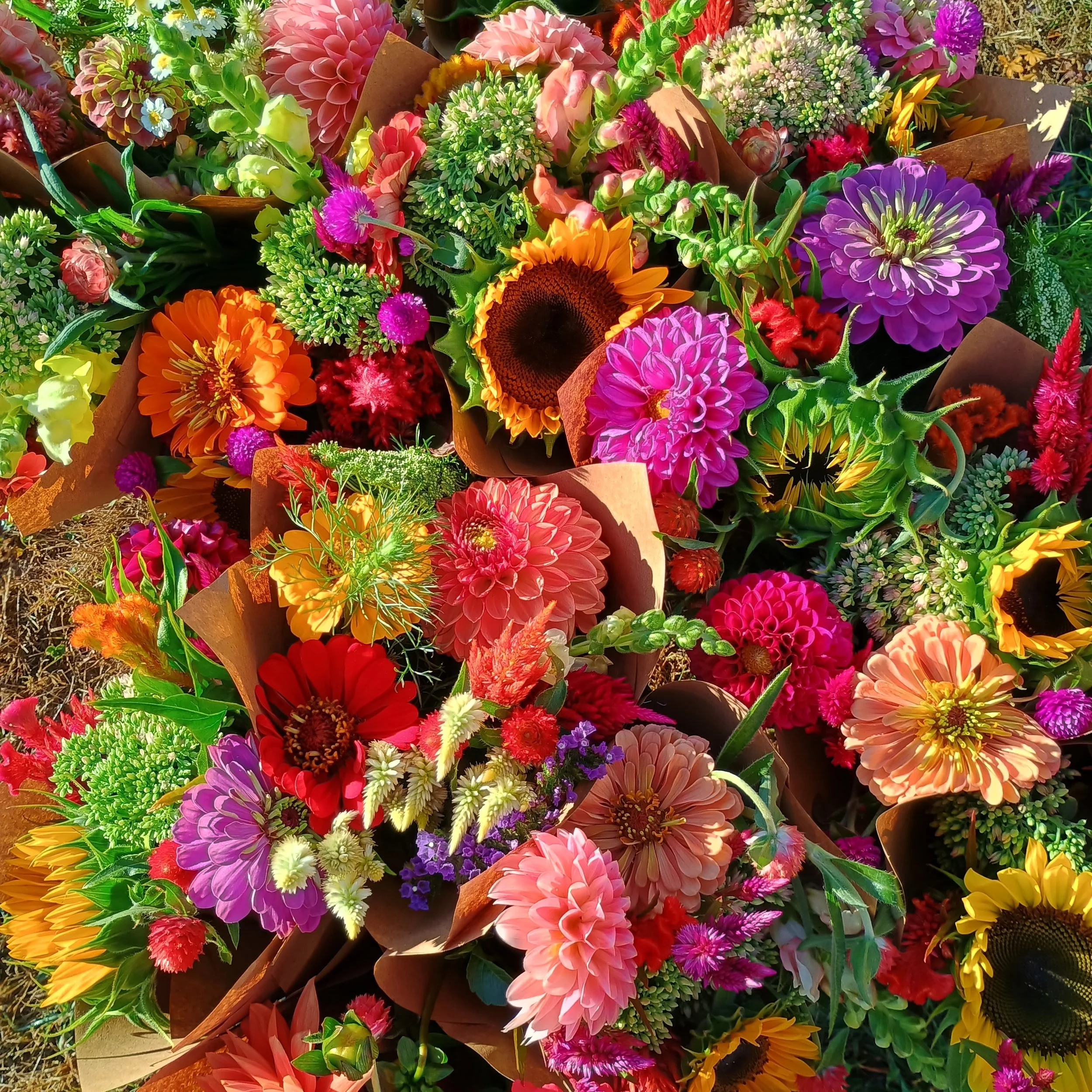 IMG_20250825_081357069_HDR (1).jpg