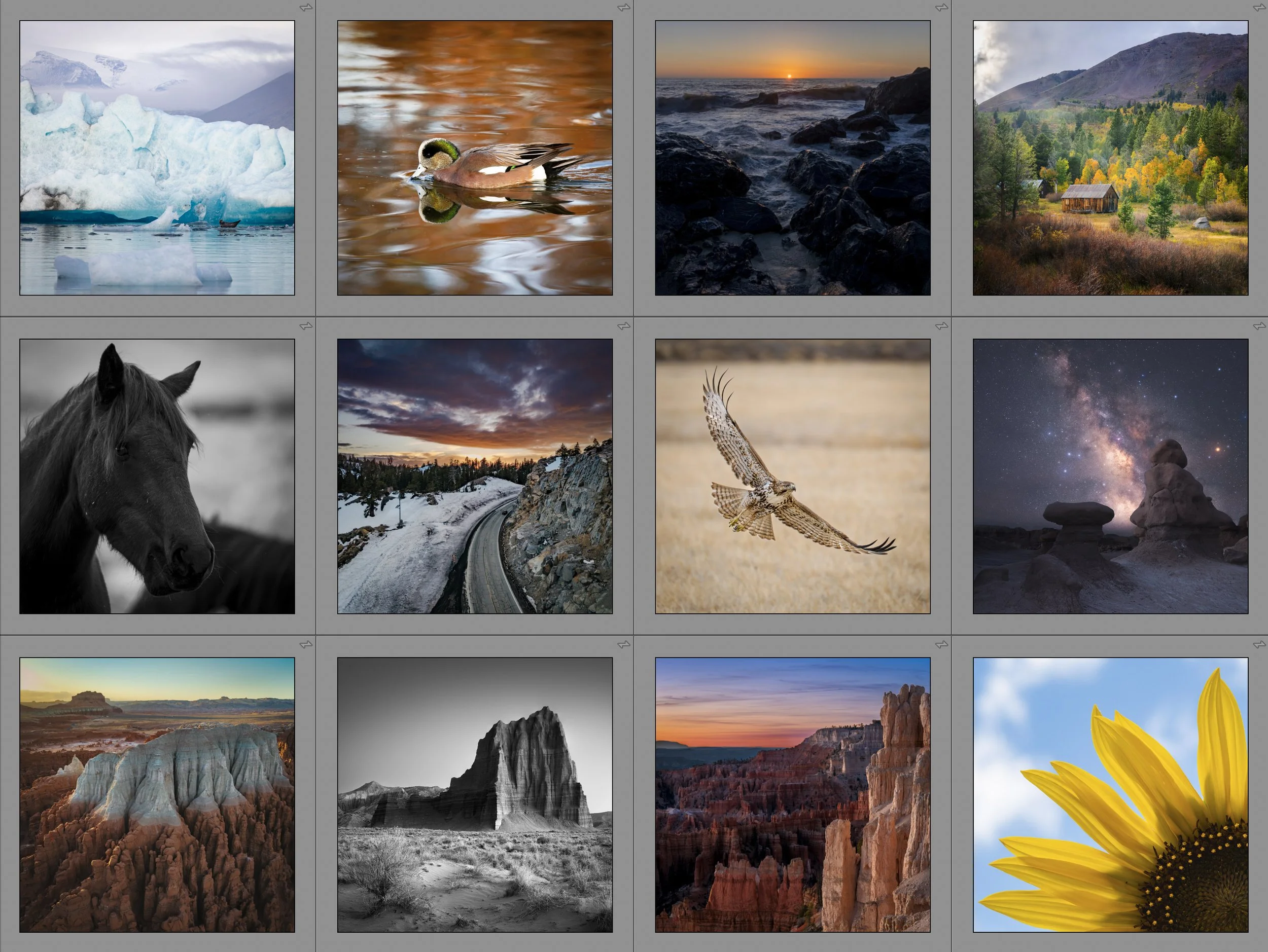 calendar images.jpg