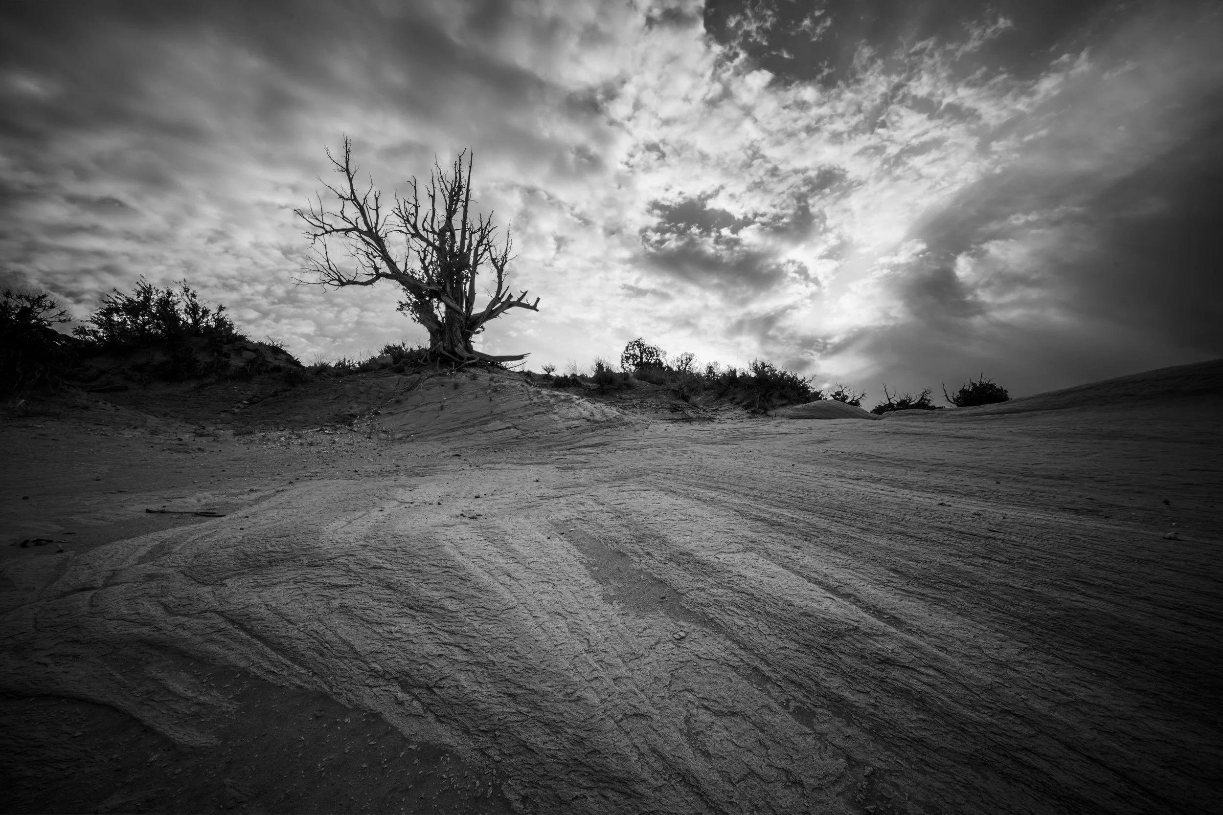 0Z8_0001-24-HDR.jpg
