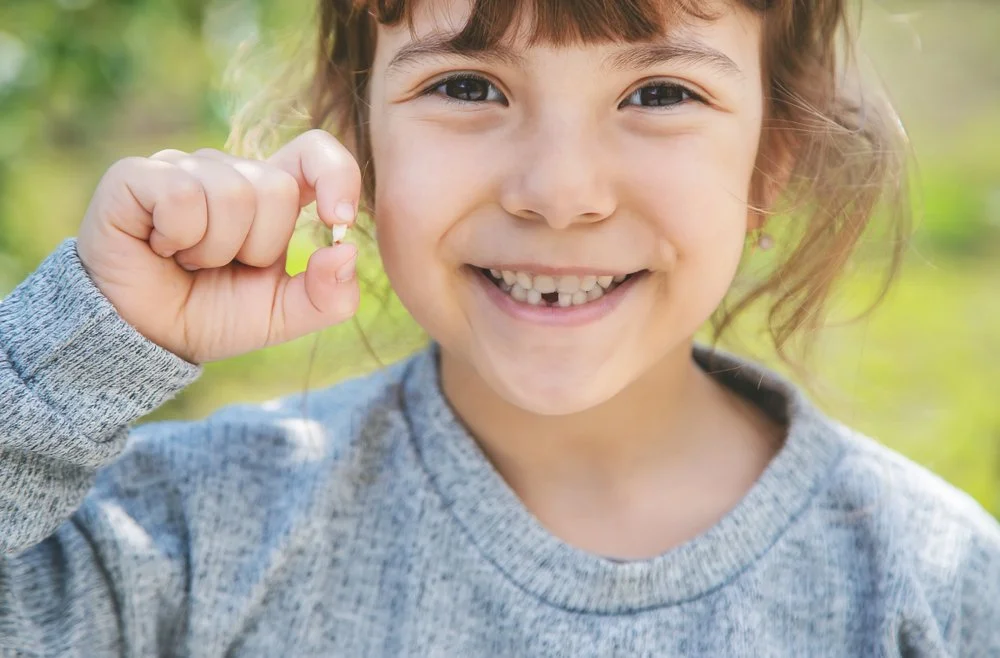 baby tooth loss as a child begins losing primary teeth and developing a permanent smile