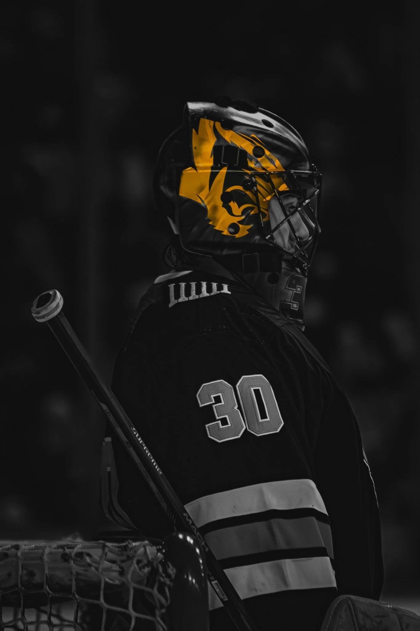 Goalie Mask Painting