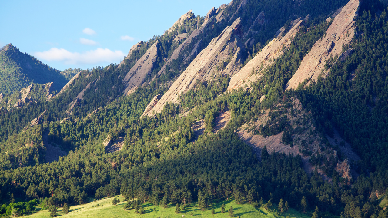 Finding the Right Psychiatrist Near You: A Comprehensive Guide to Mental Health Support in Fort Collins