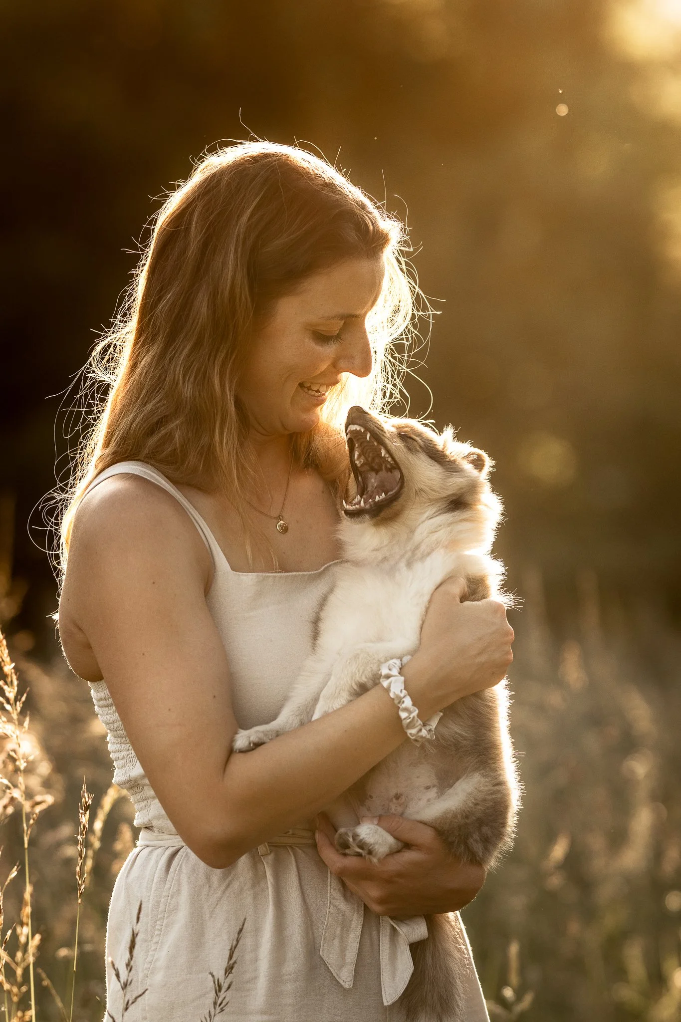 Eine Frau hält einen spielenden Hund im Sonnenuntergang in der Natur